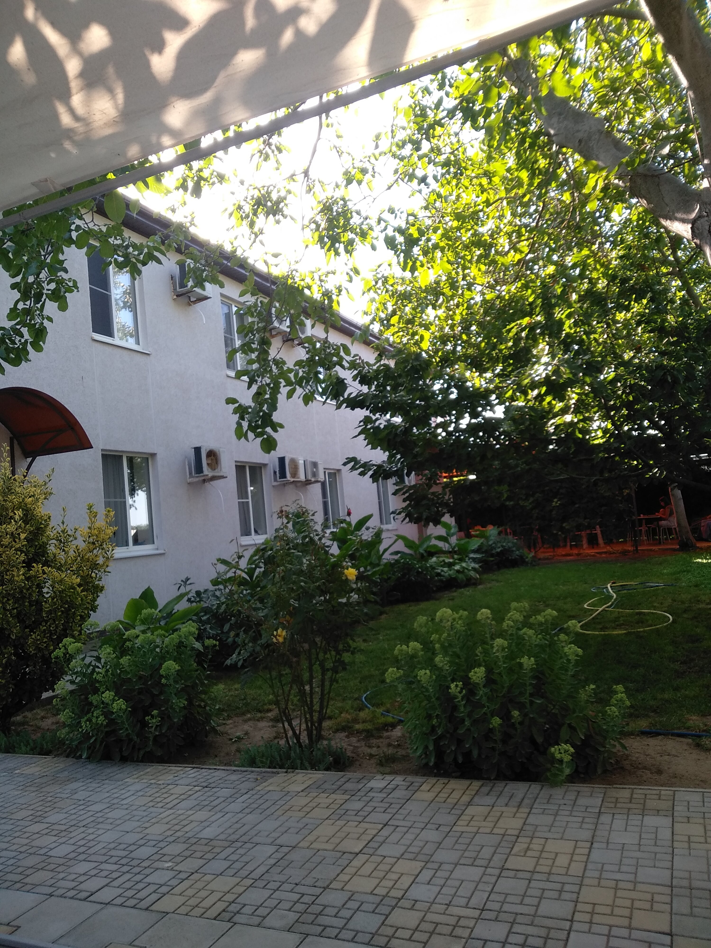 Фото Ореховый рай