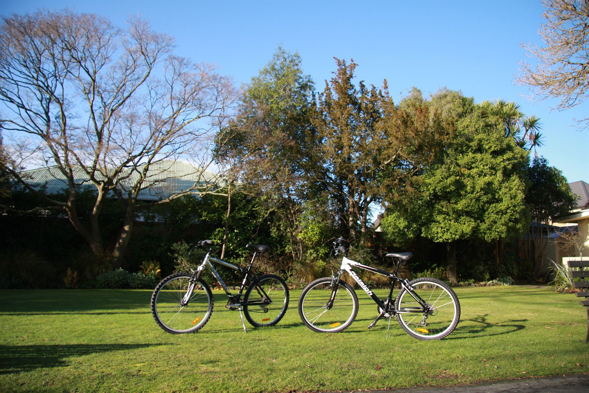 Фото Ashleigh Court Motel