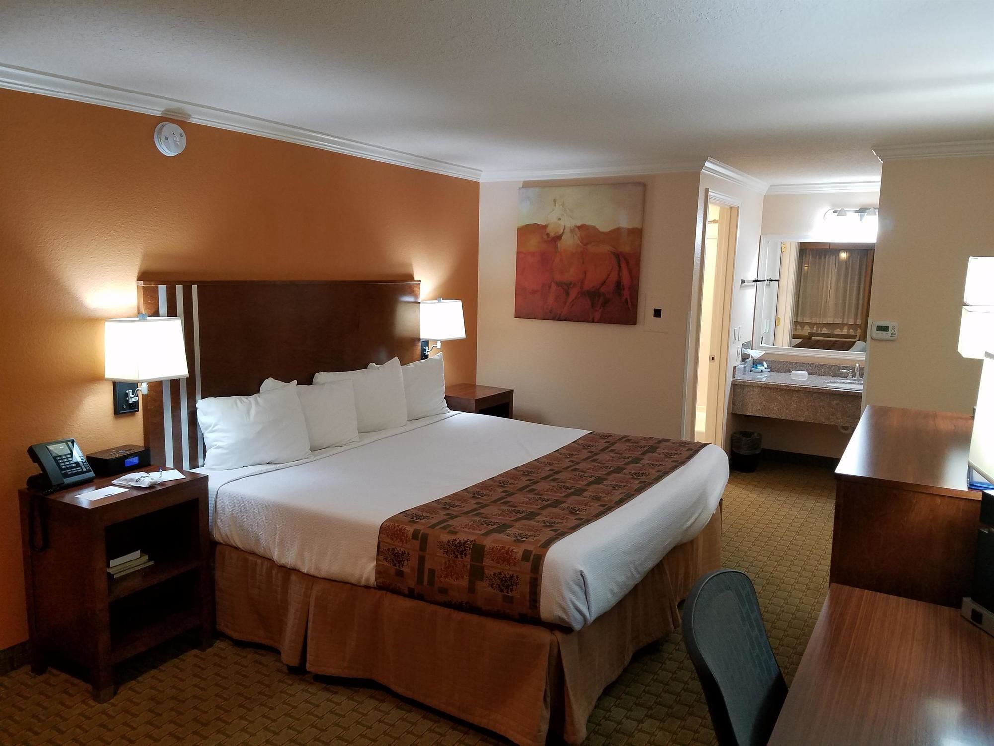 Фото Best Western Skyline Motor Lodge