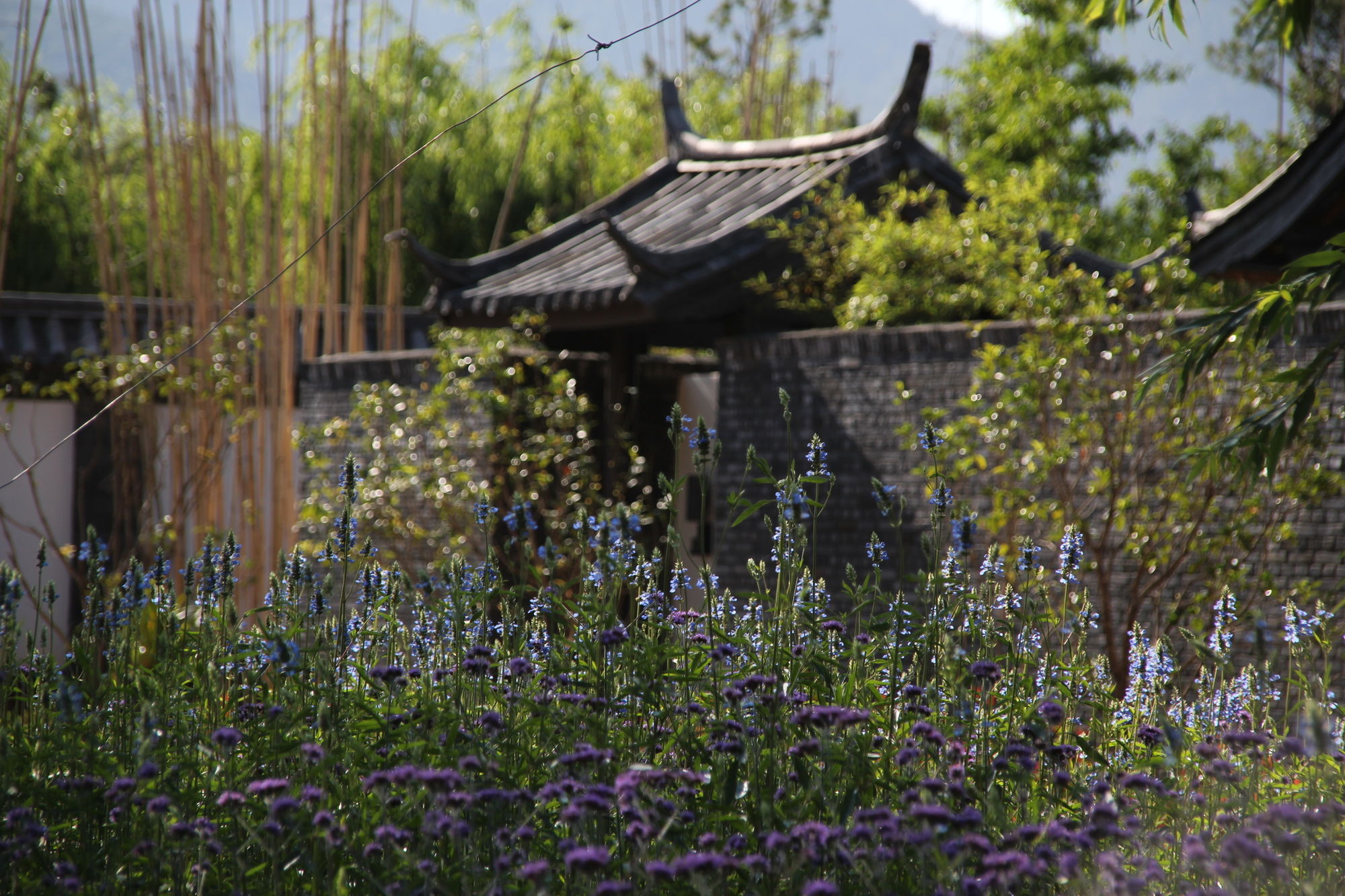 Фото Pullman Lijiang Resort & SPA