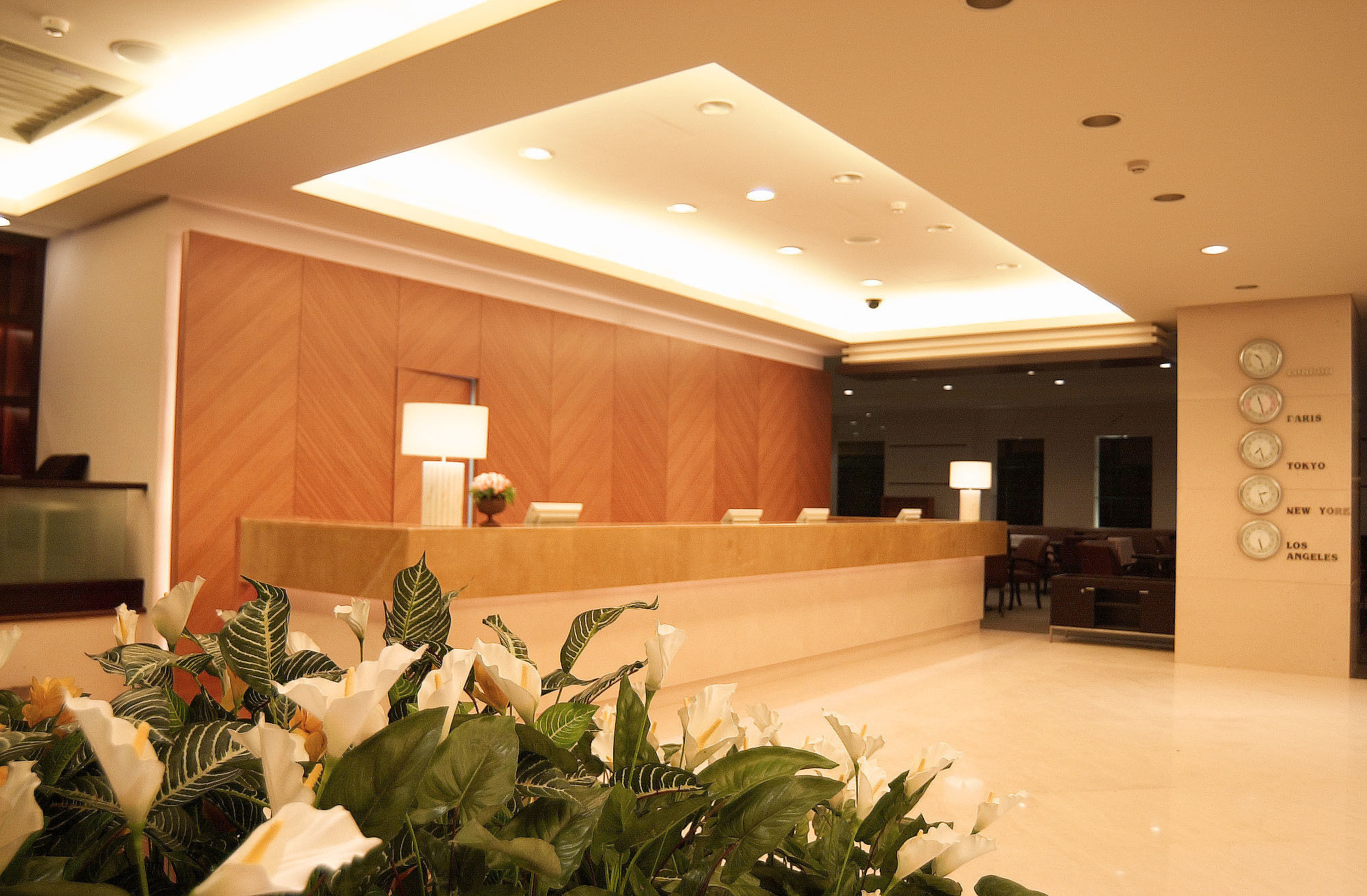 Фото Lakeshore Hotel Metropolis I