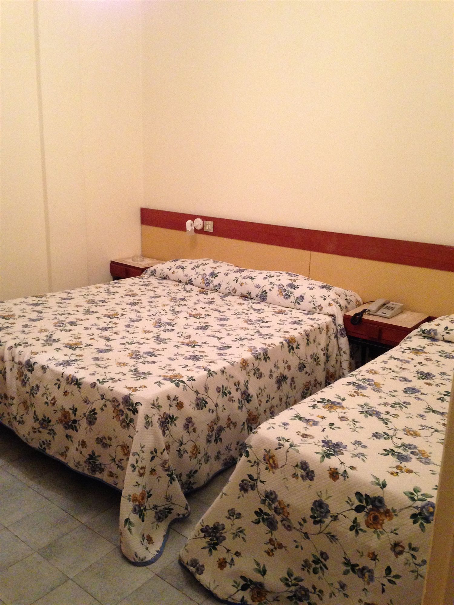 Фото Hotel Villa Diana