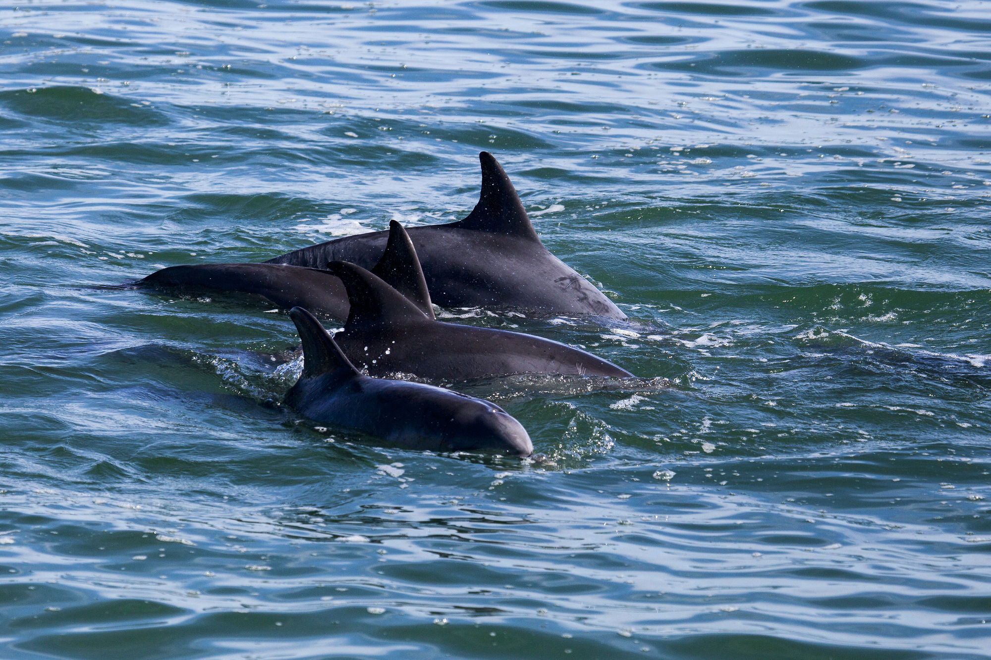 Фото 185 on Beach Boutique Suites and Apartments