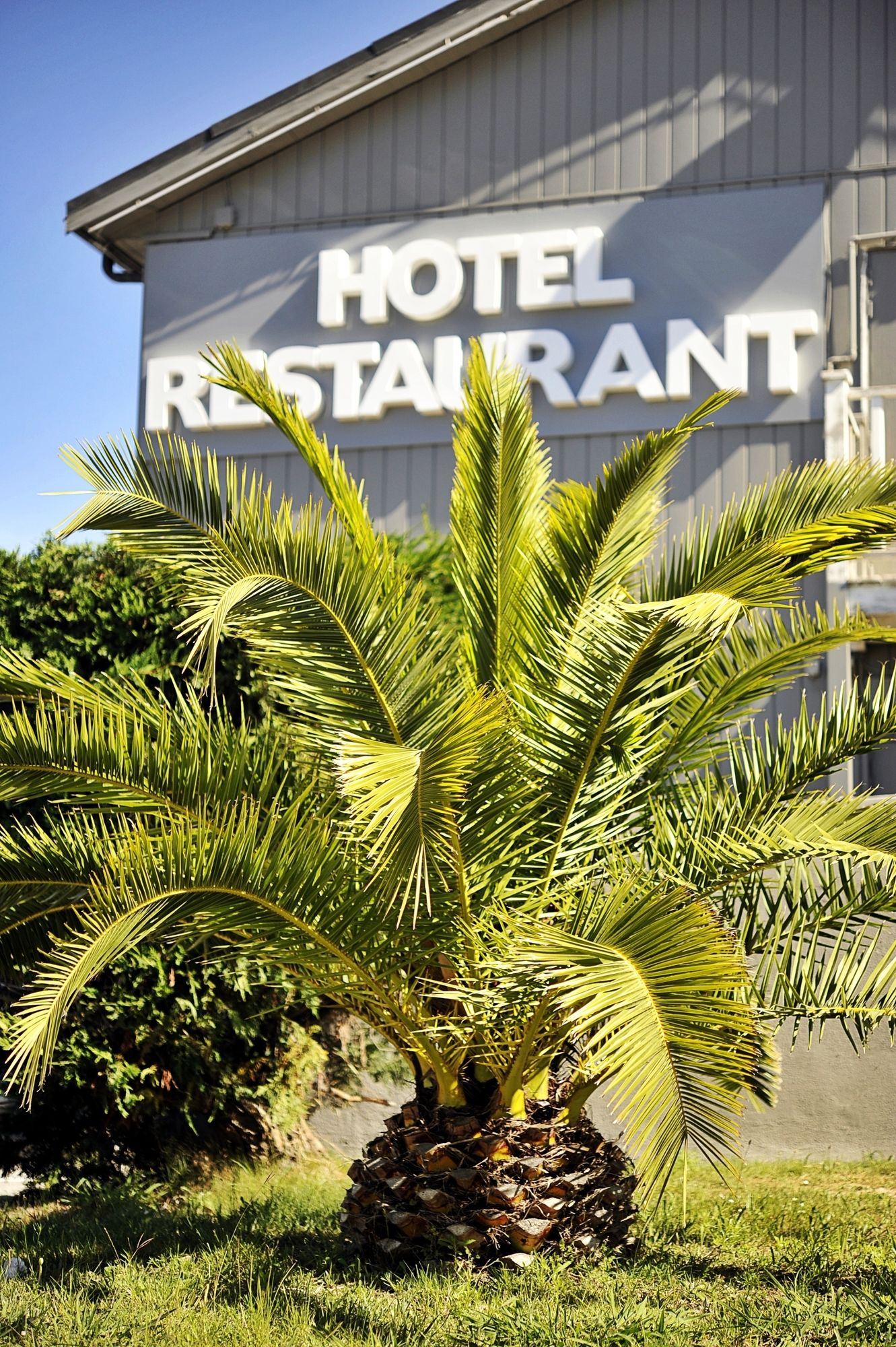 Фото Greet Hotel Marseille Provence Aéroport