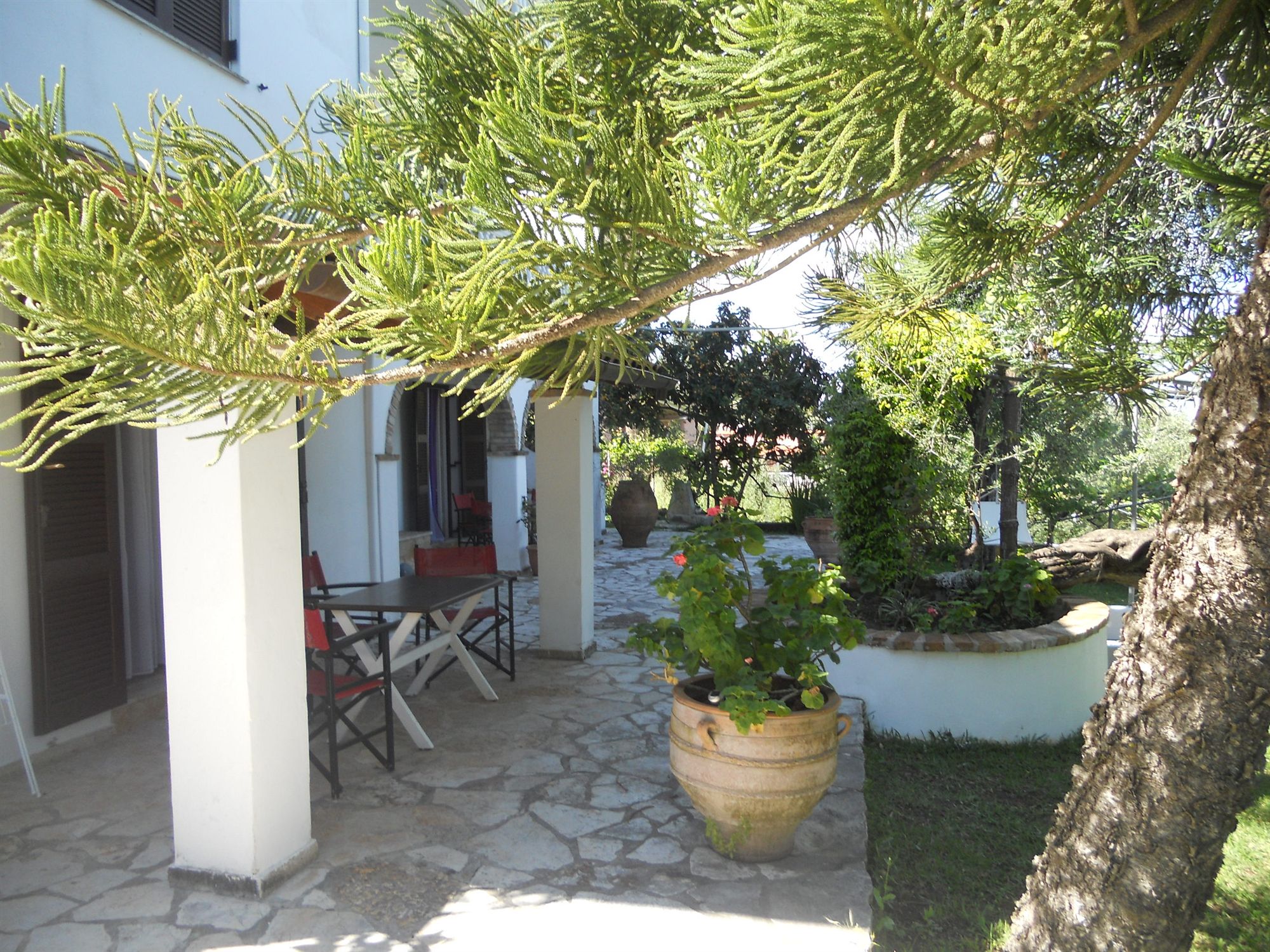 Фото Gina Studios