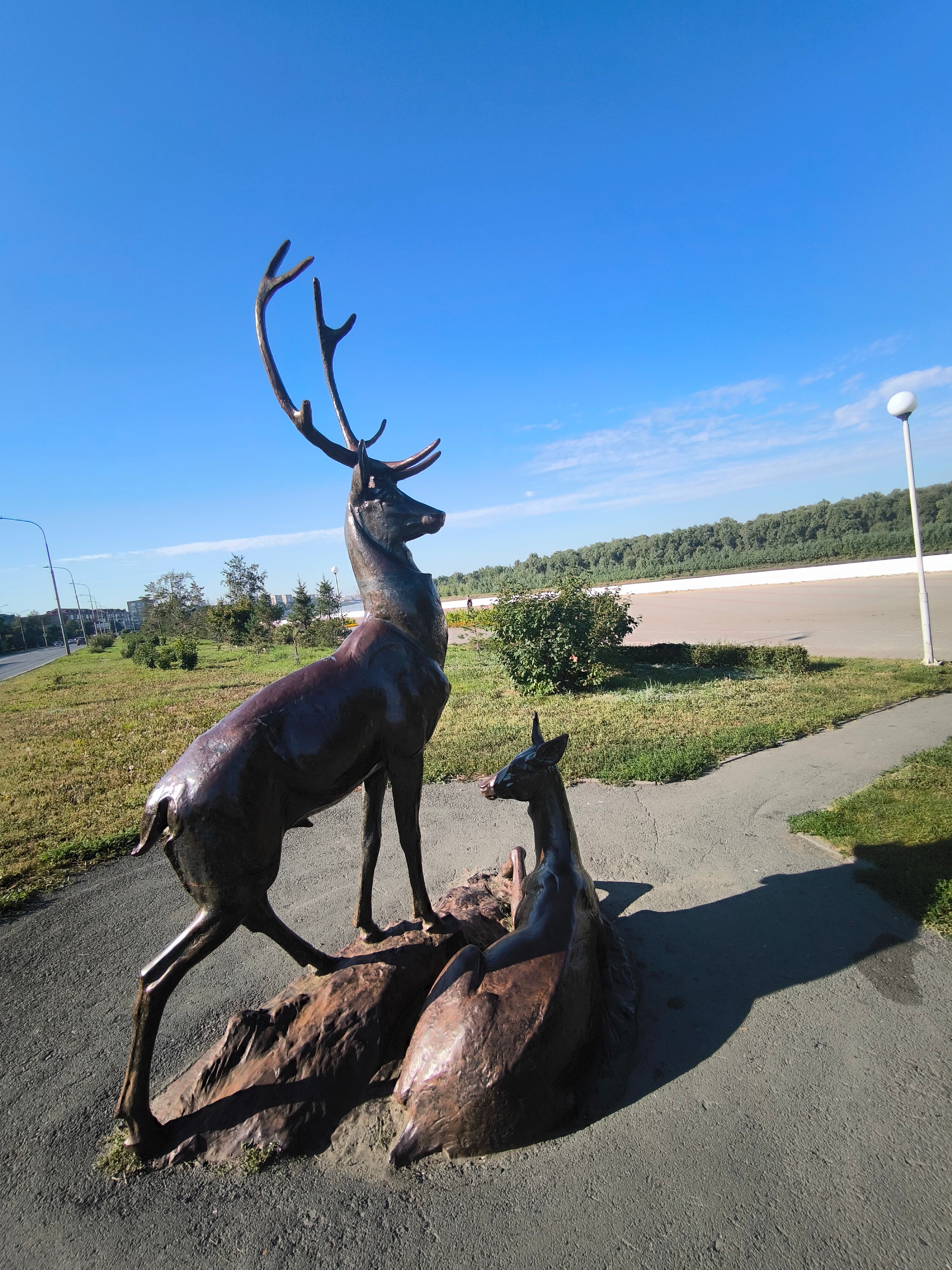 Фото Амакс Отель Омск