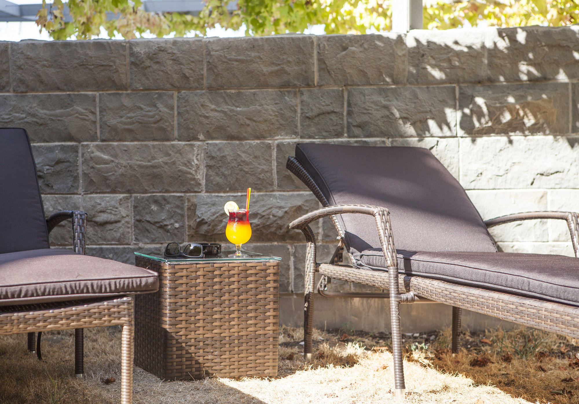 Фото Hotel Oleander