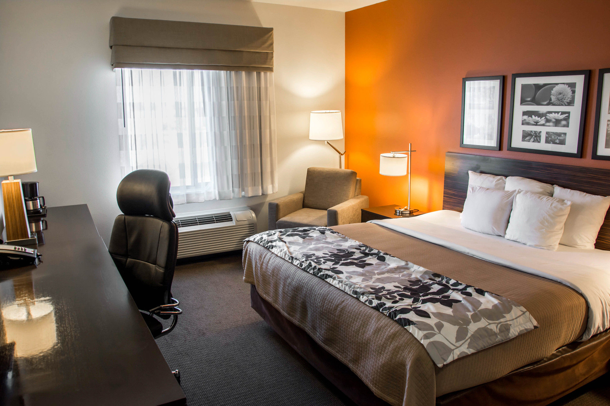 Фото Sleep Inn & Suites Medical Center