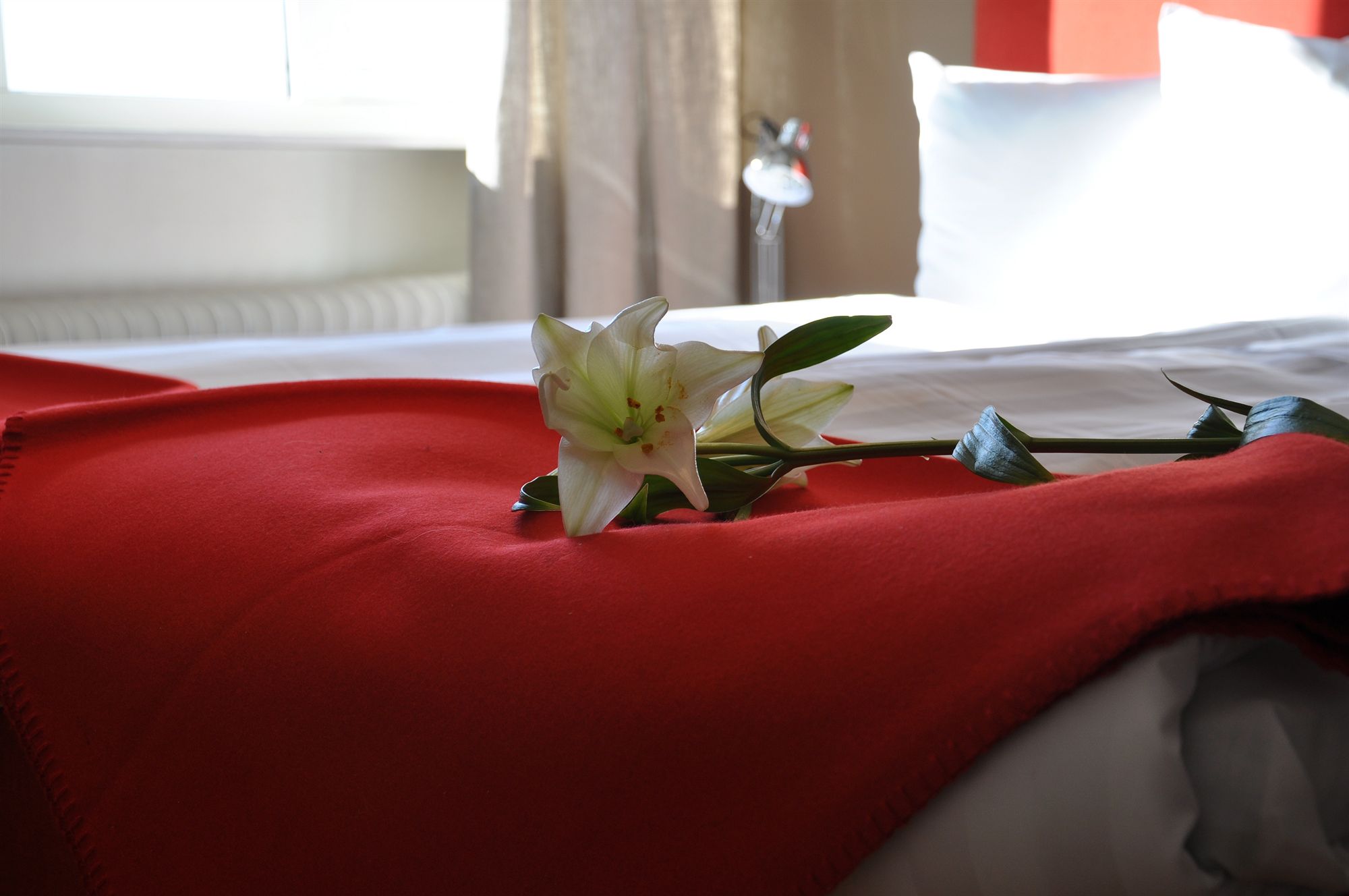 Фото Hotell Stadsparken