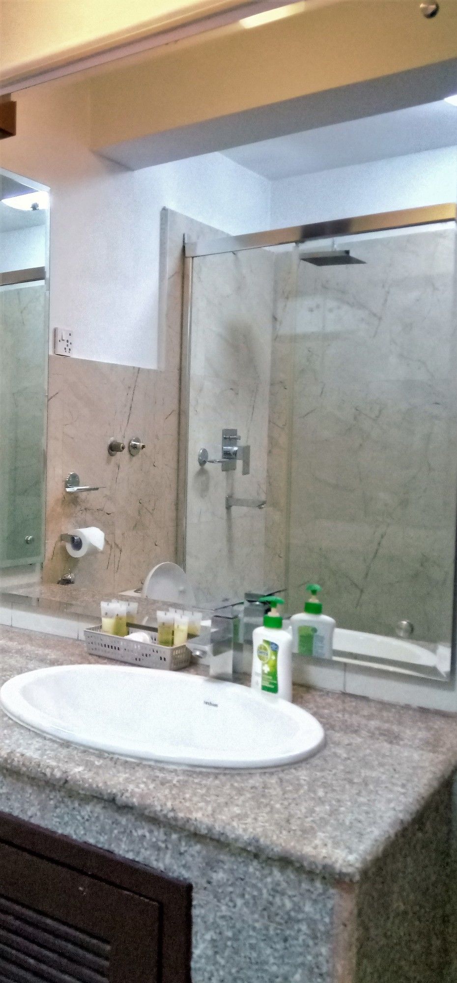 Фото Shaligram Hotel & SPA