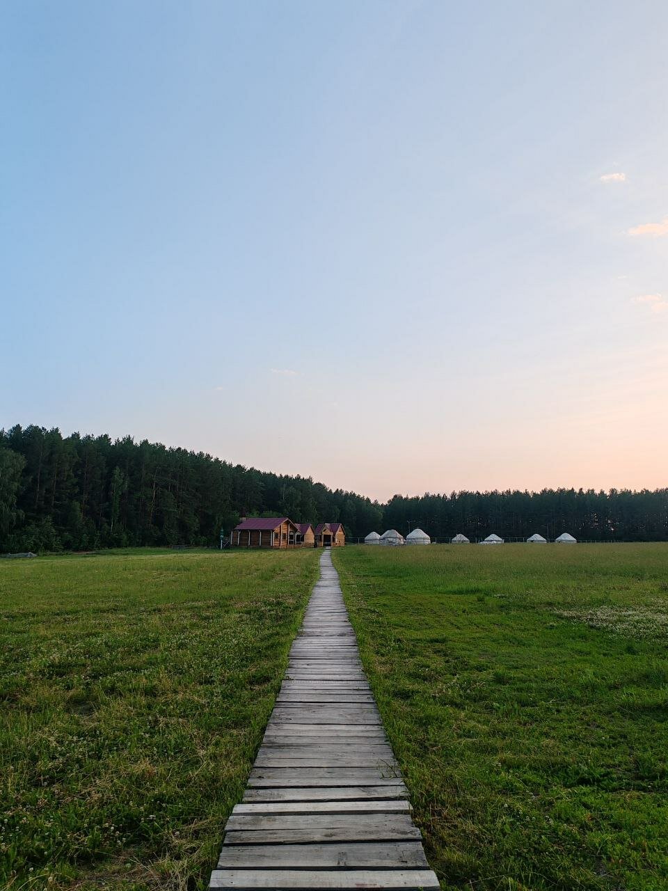 Фото Белая лошадь