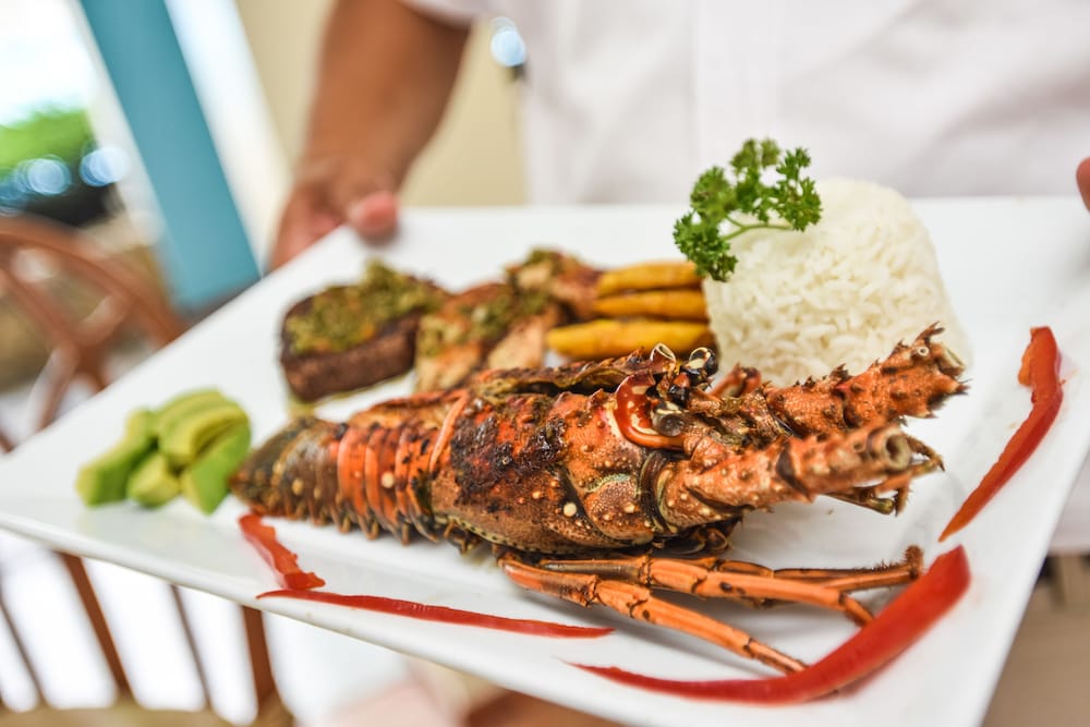 Фото Acuarium Suite Resort