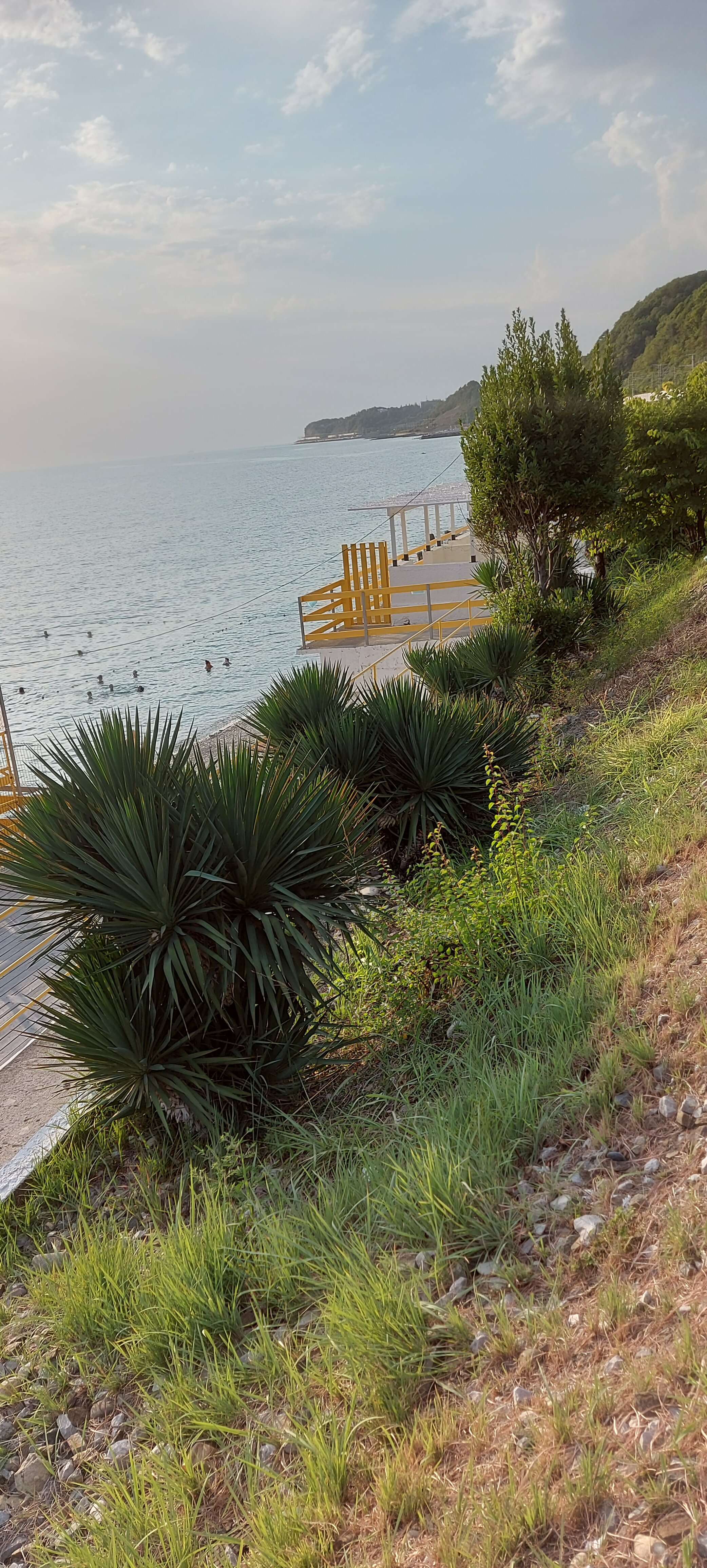 Фото Ланселот