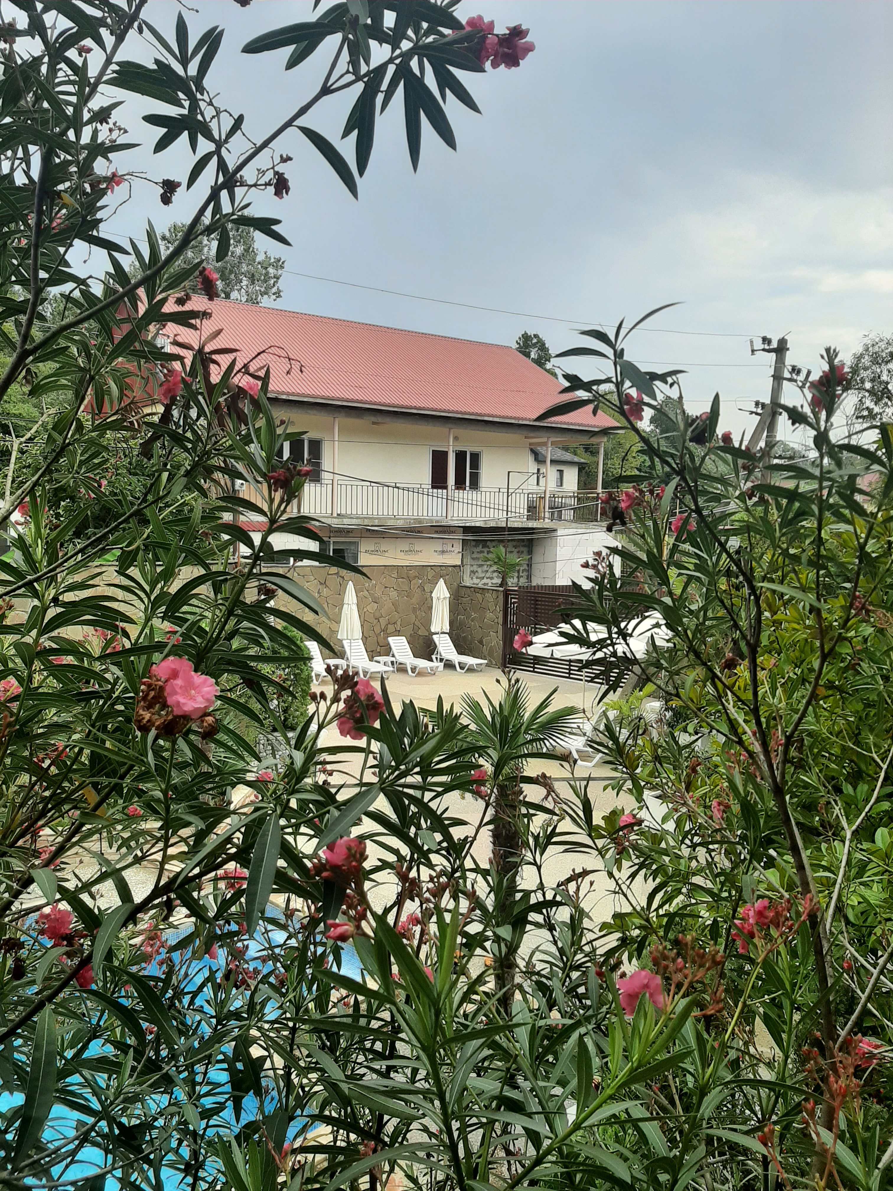 Фото У Елены