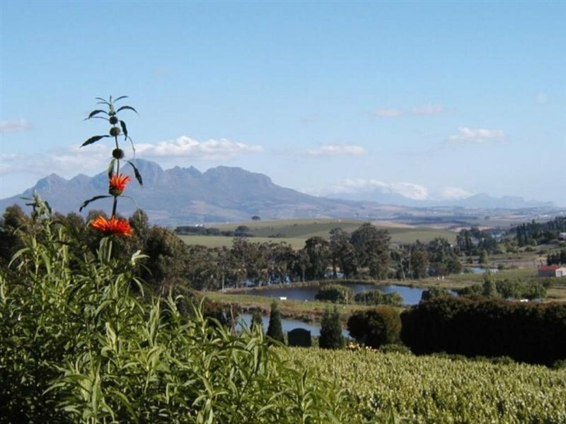 Фото The Devon Valley Hotel