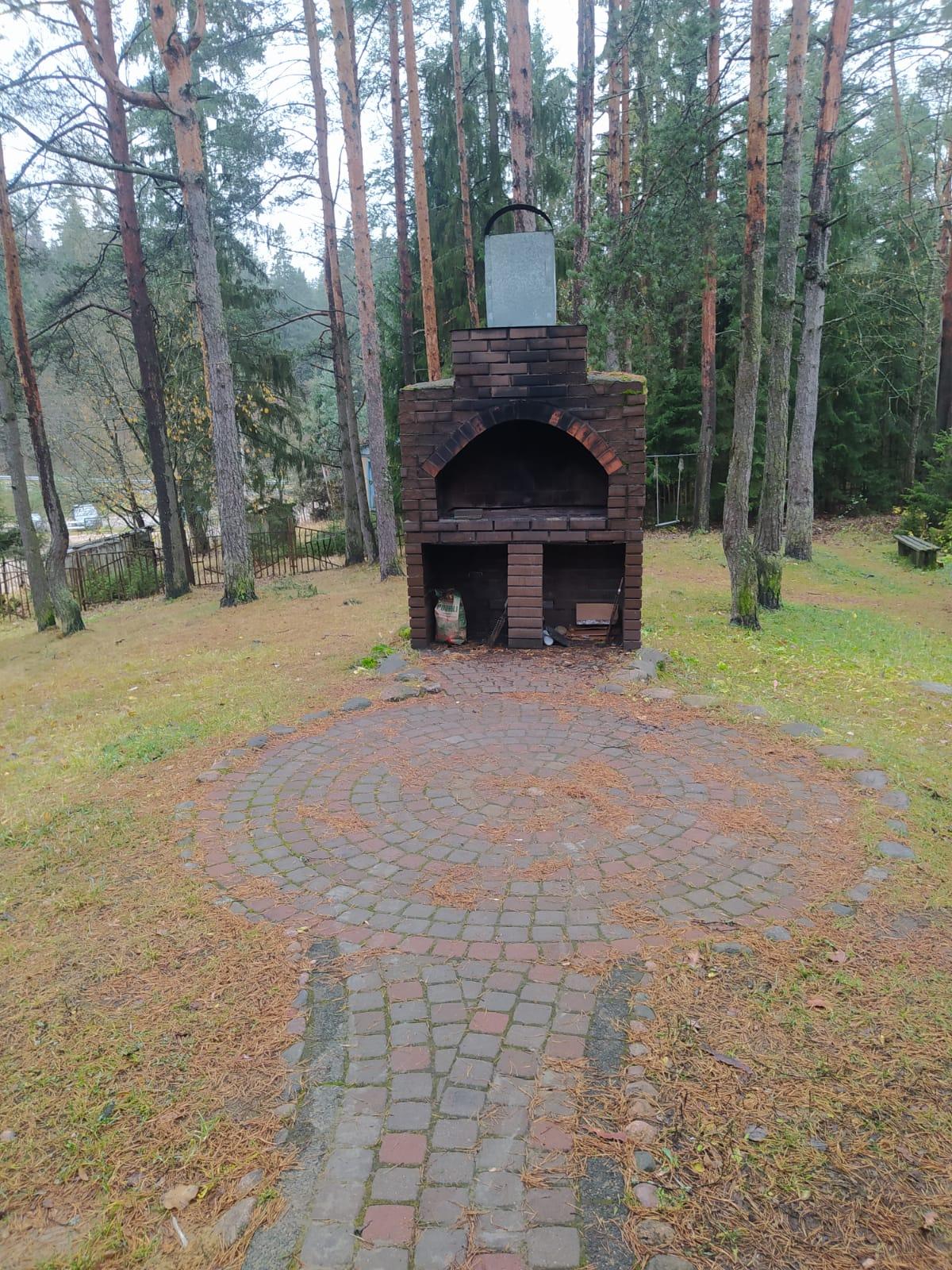 Фото Динамо