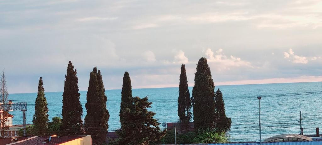 Фото Лоогуна