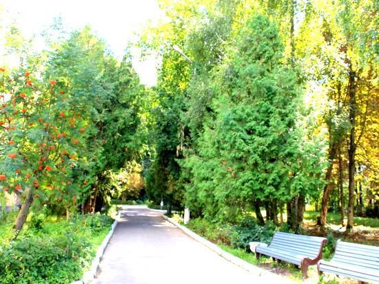 Фото Бобачёвская роща