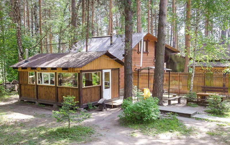 Фото Академия