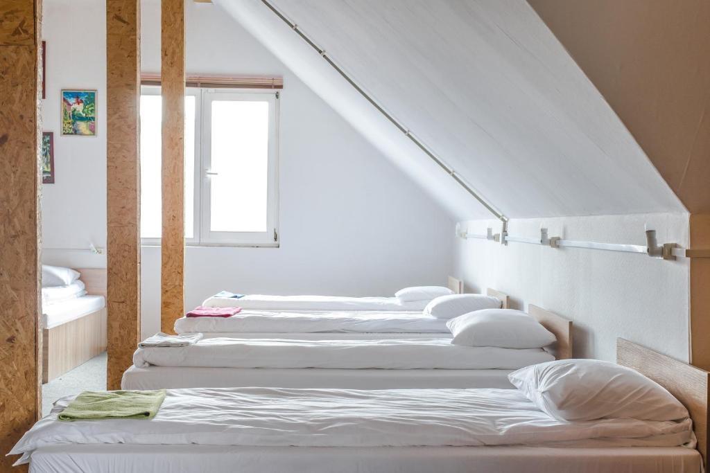 Фото ИнЛайк