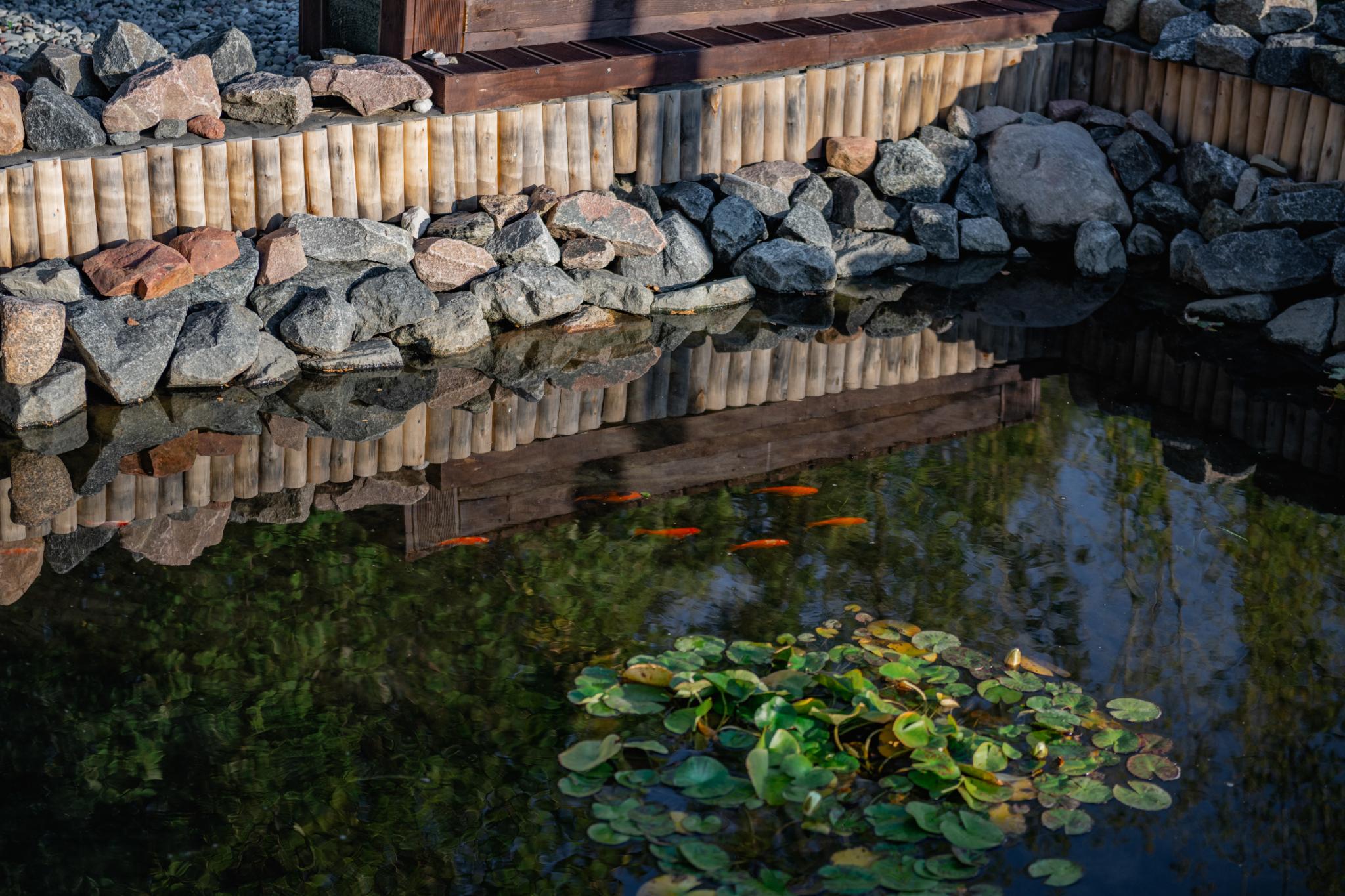 Фото Тихая гавань