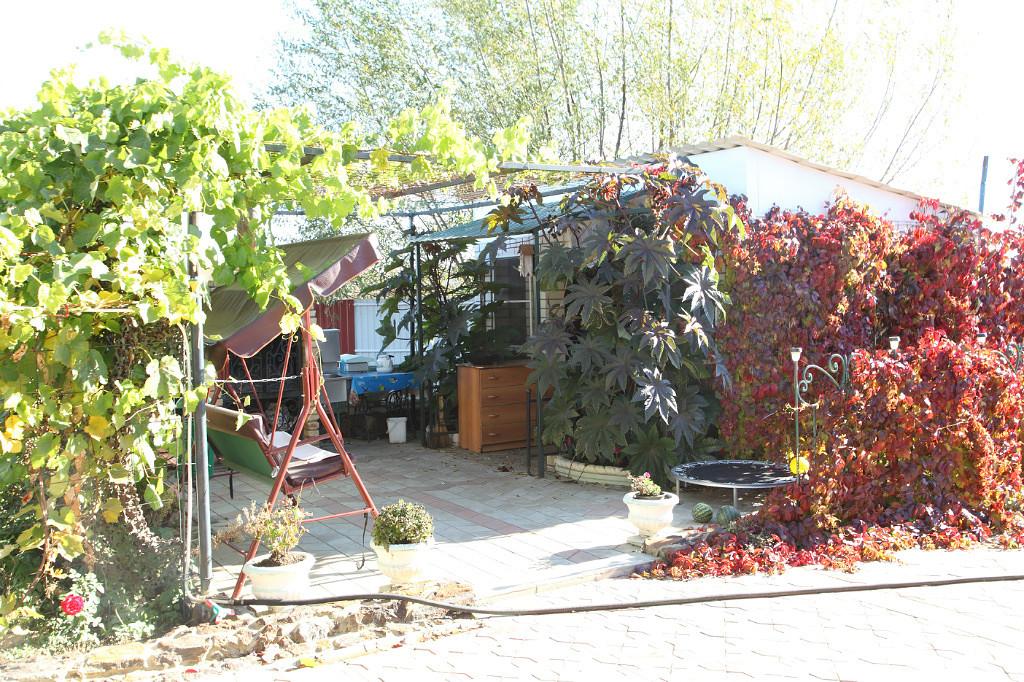 Фото Викторис