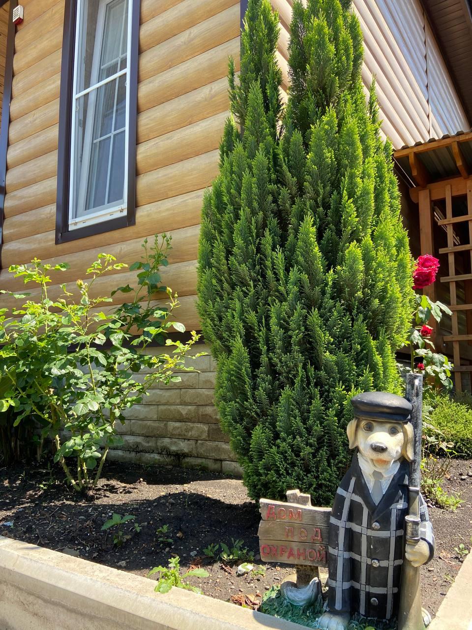 Фото Остров Атланта