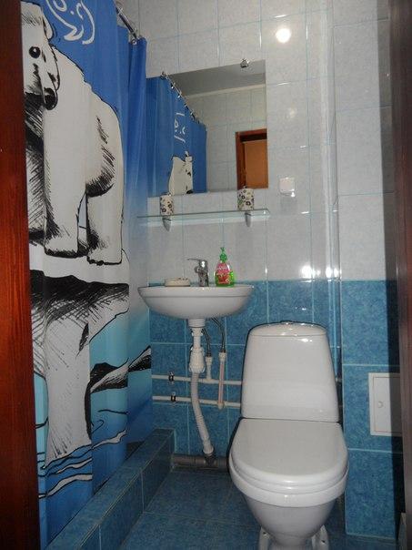 Фото Березка