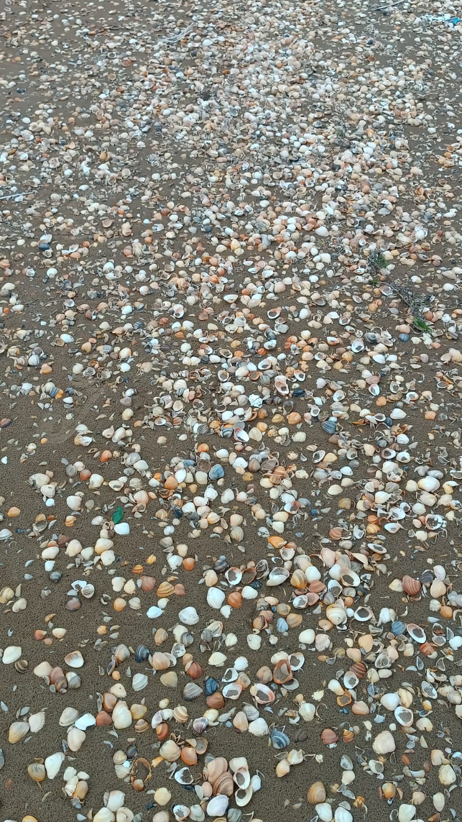 Фото Тихая гавань