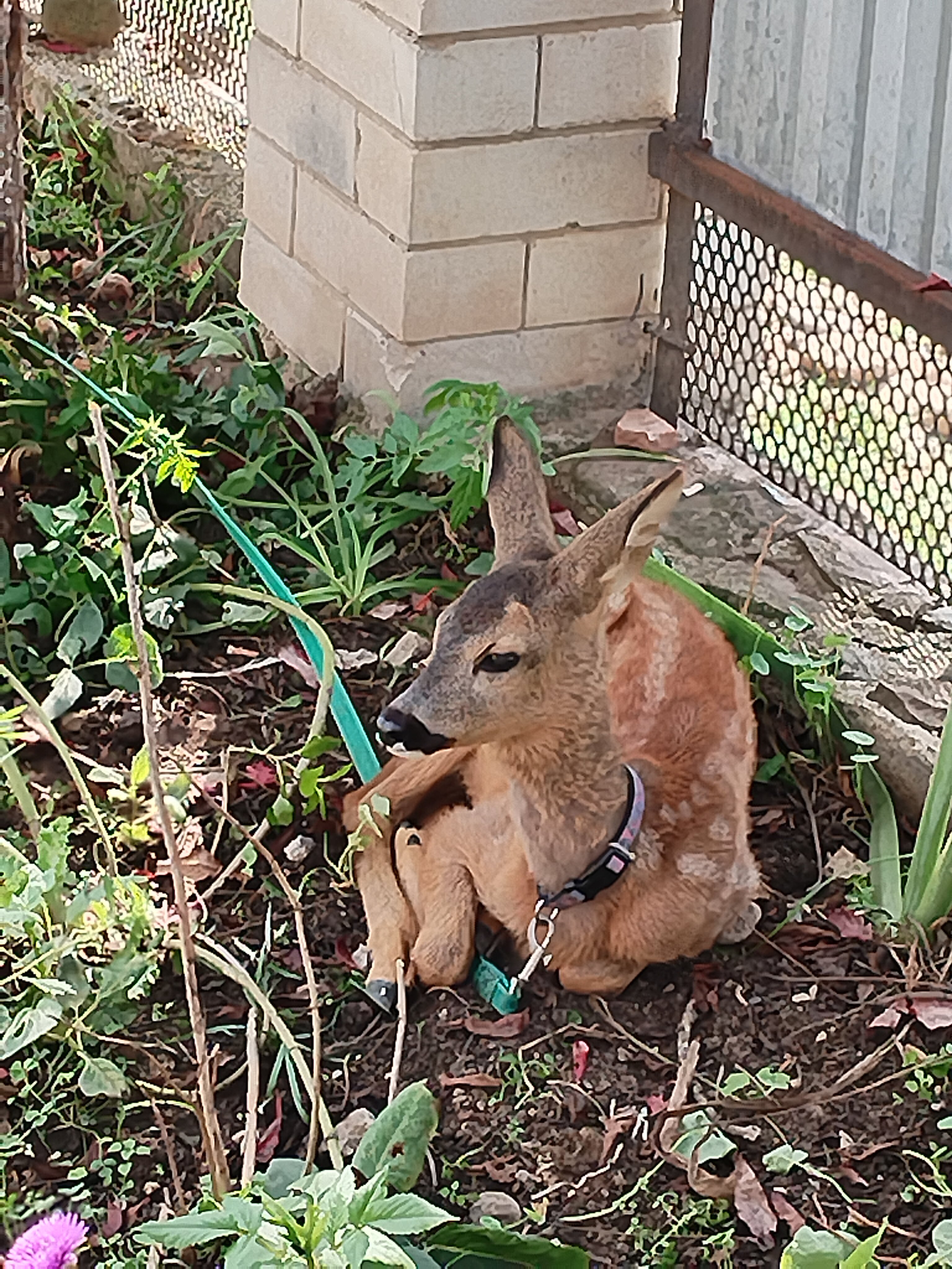 Фото Логово