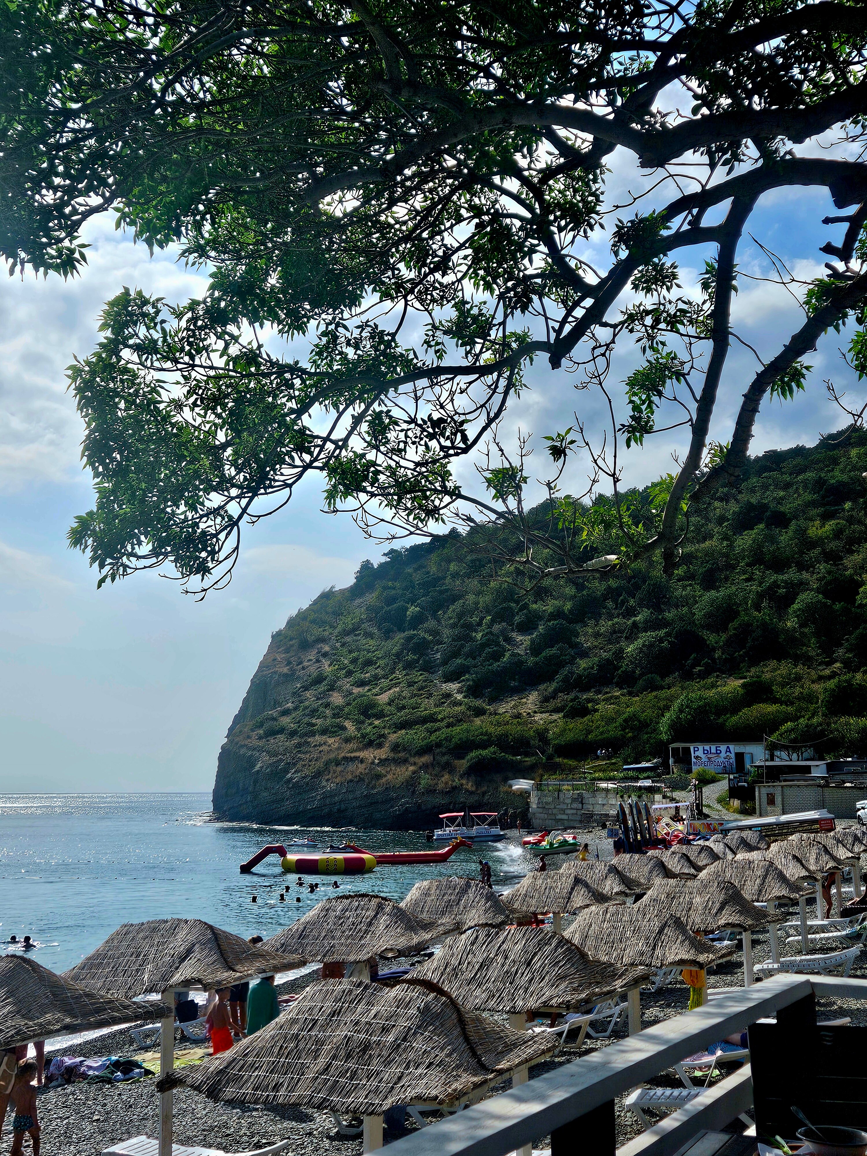 Фото Айвенго