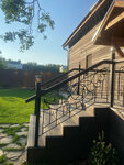 Iron Master (Novo-Arakchinskaya ulitsa, 1), wrought iron