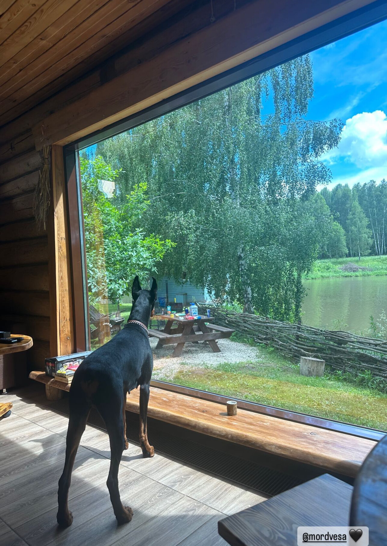 Фото Усадьба Мордвеза