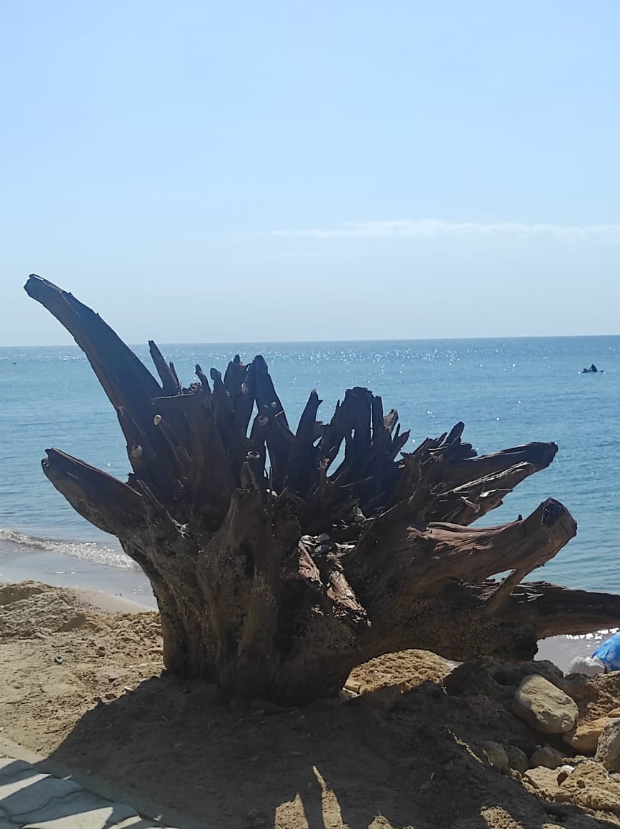 Фото Морской берег