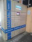 Ozon box (Leninskogo Komsomola Street, 58А), parcel automat