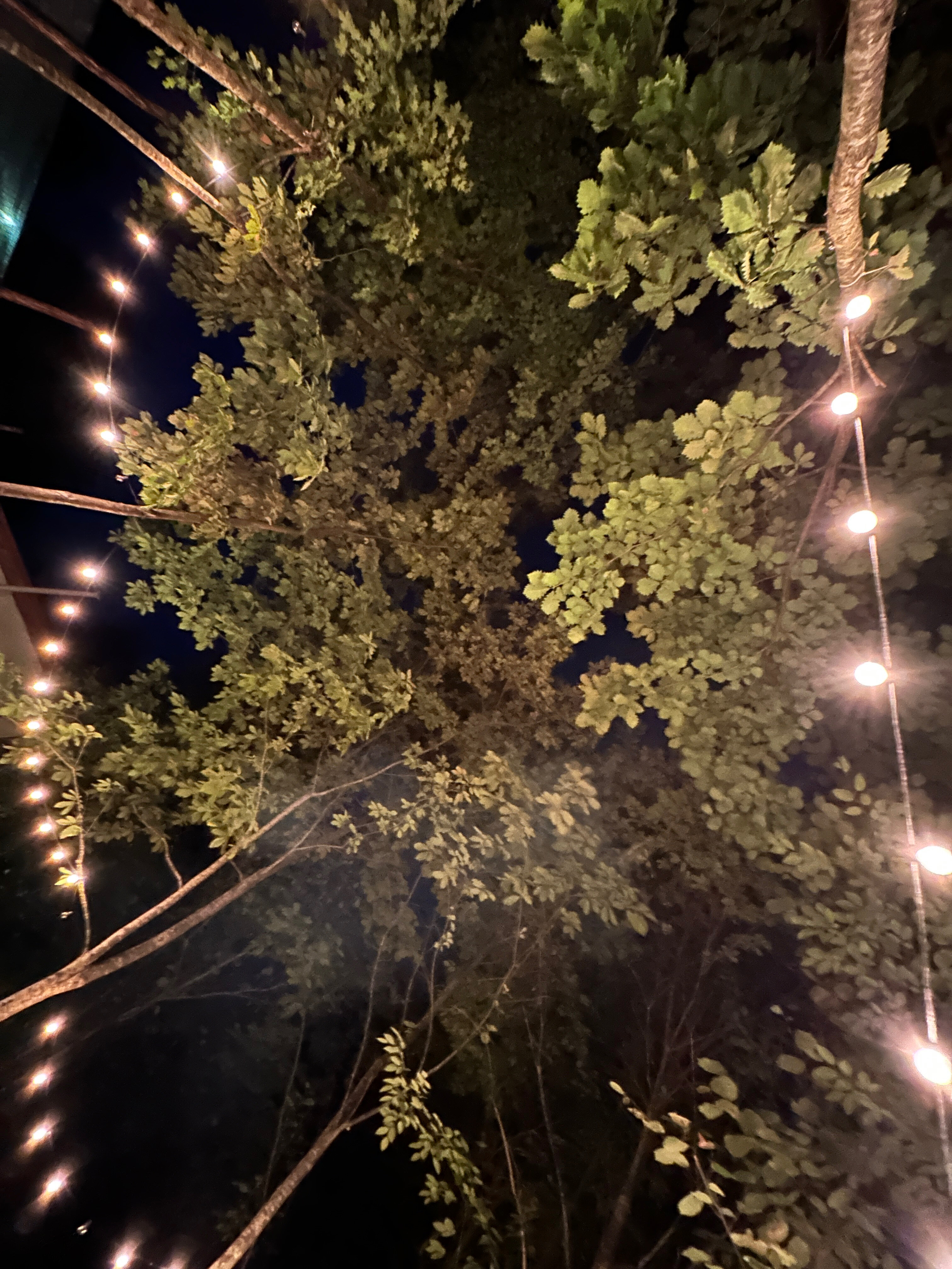 Фото Другой берег