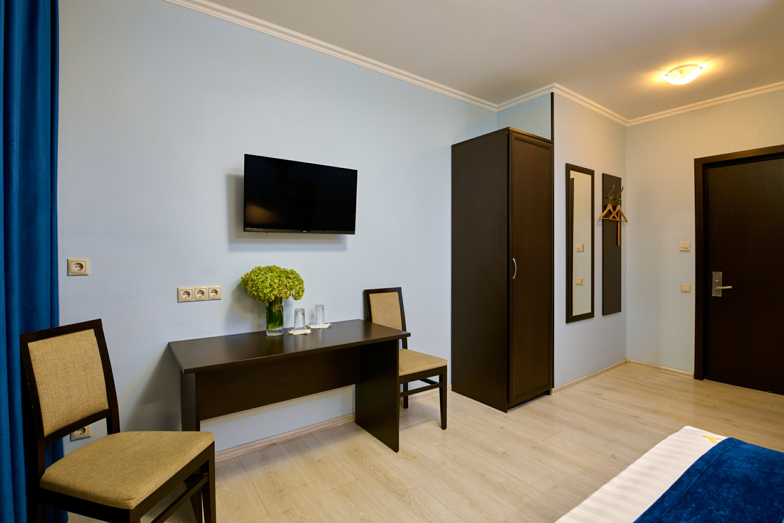 Фото Колибри