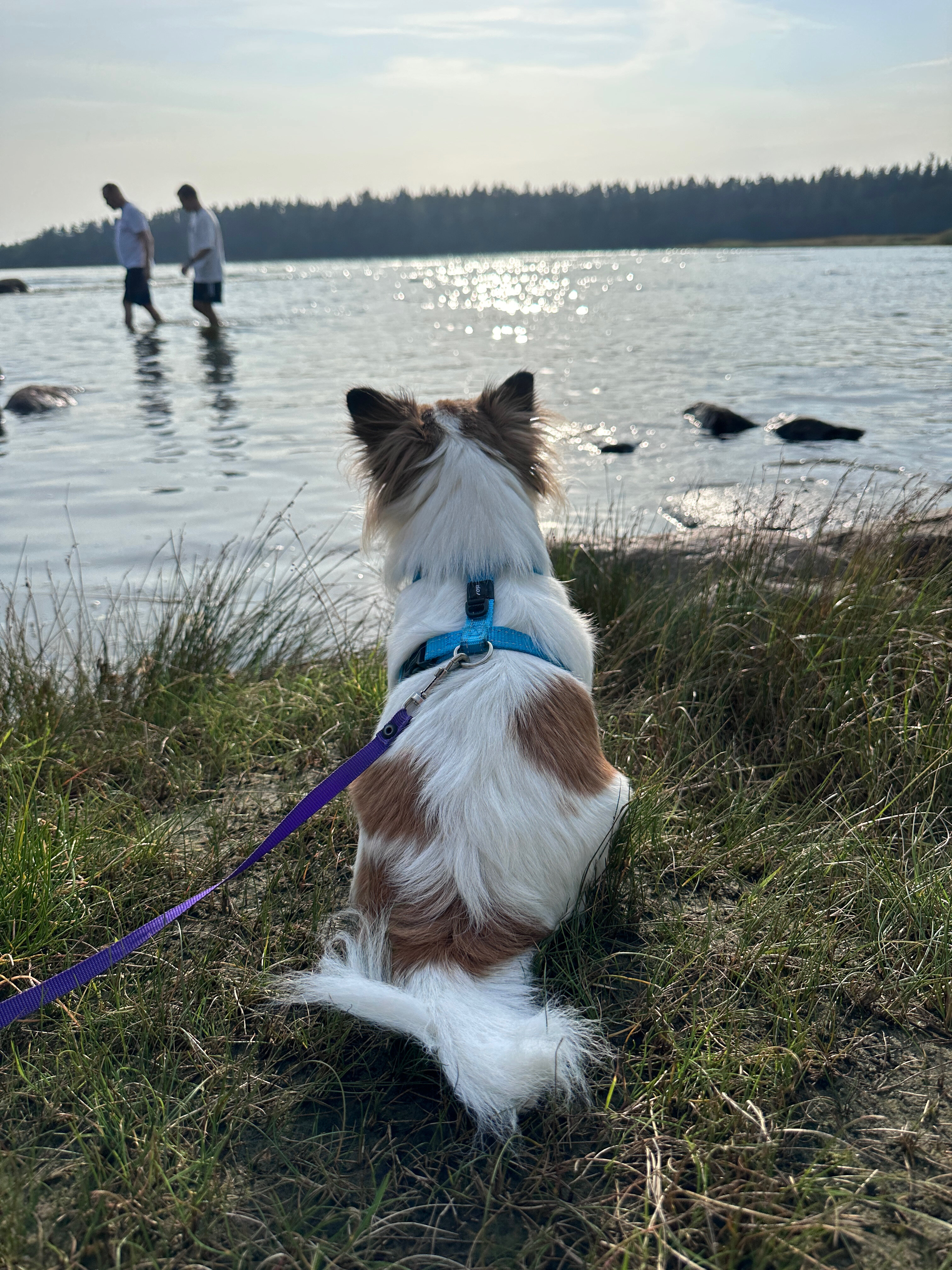 Фото Заречье