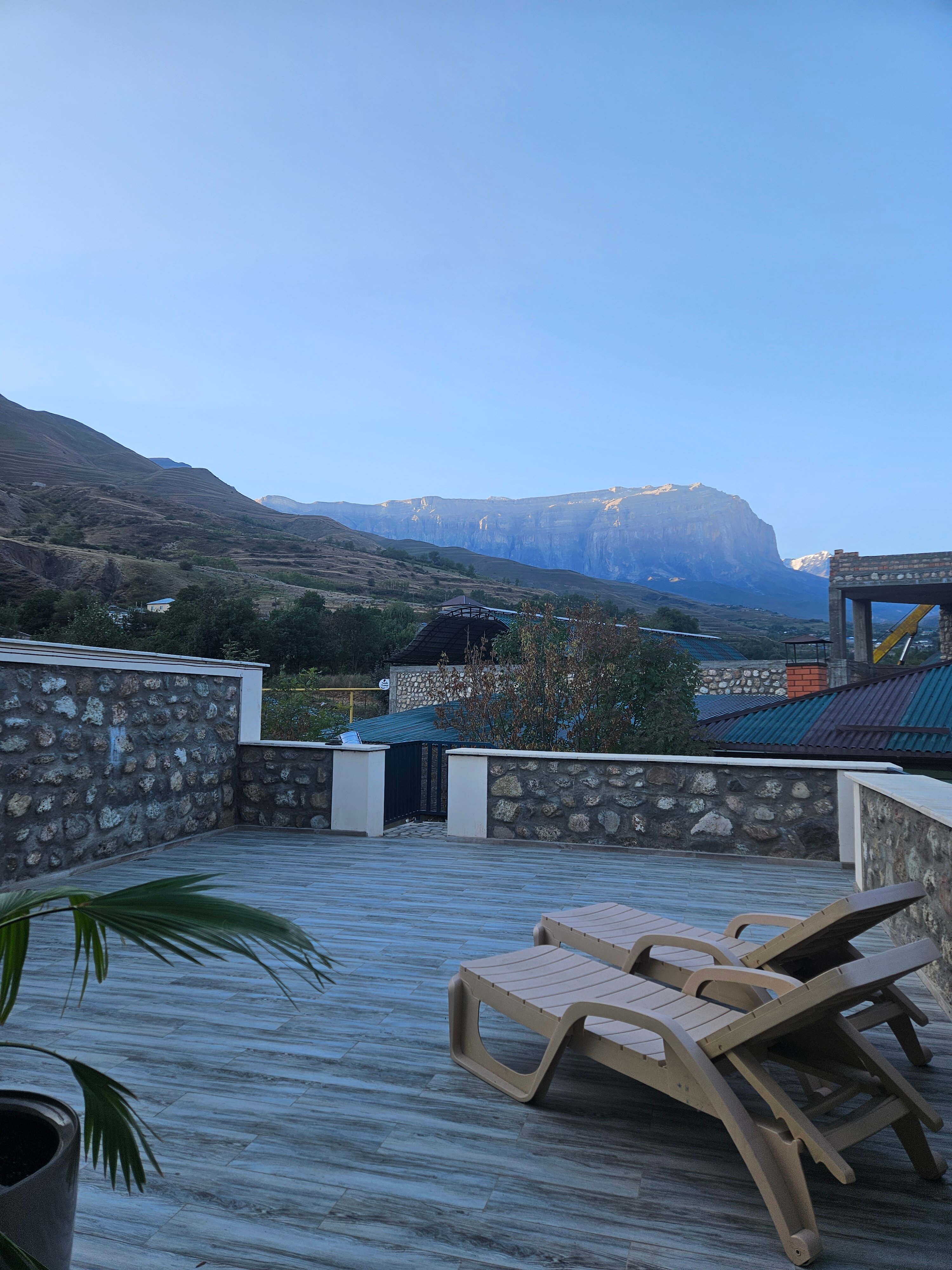 Фото Гнездо солнца