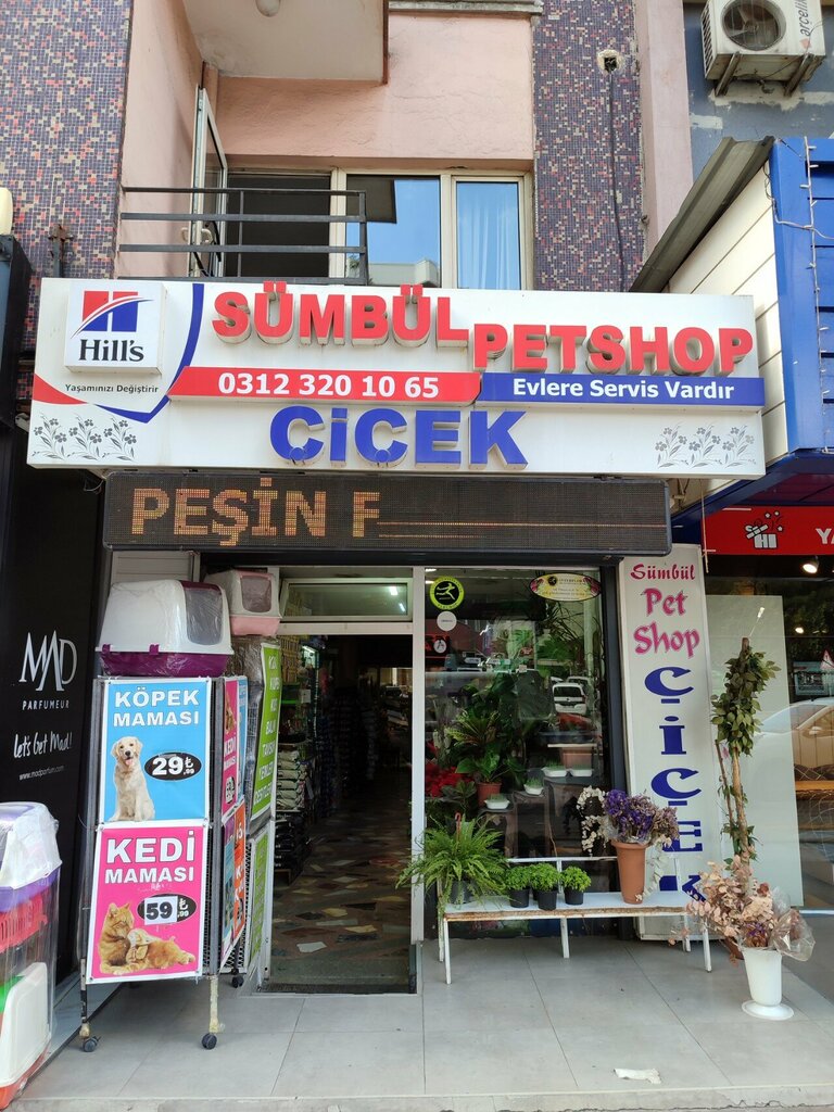 متجر للحيوانات الأليفة Sumbul Floriculture and Petshop ، أنقرة، صورة