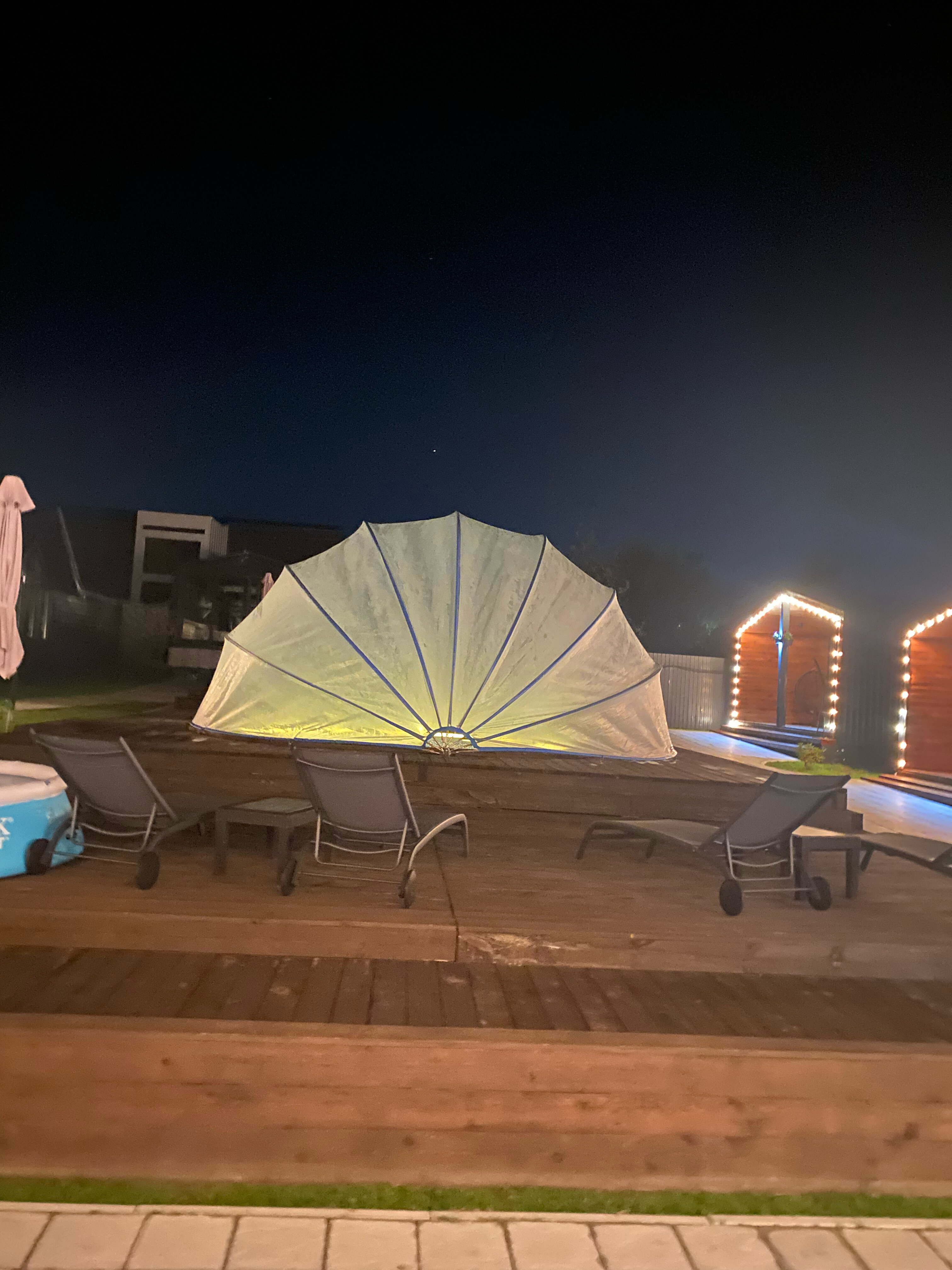 Фото Аура тополей