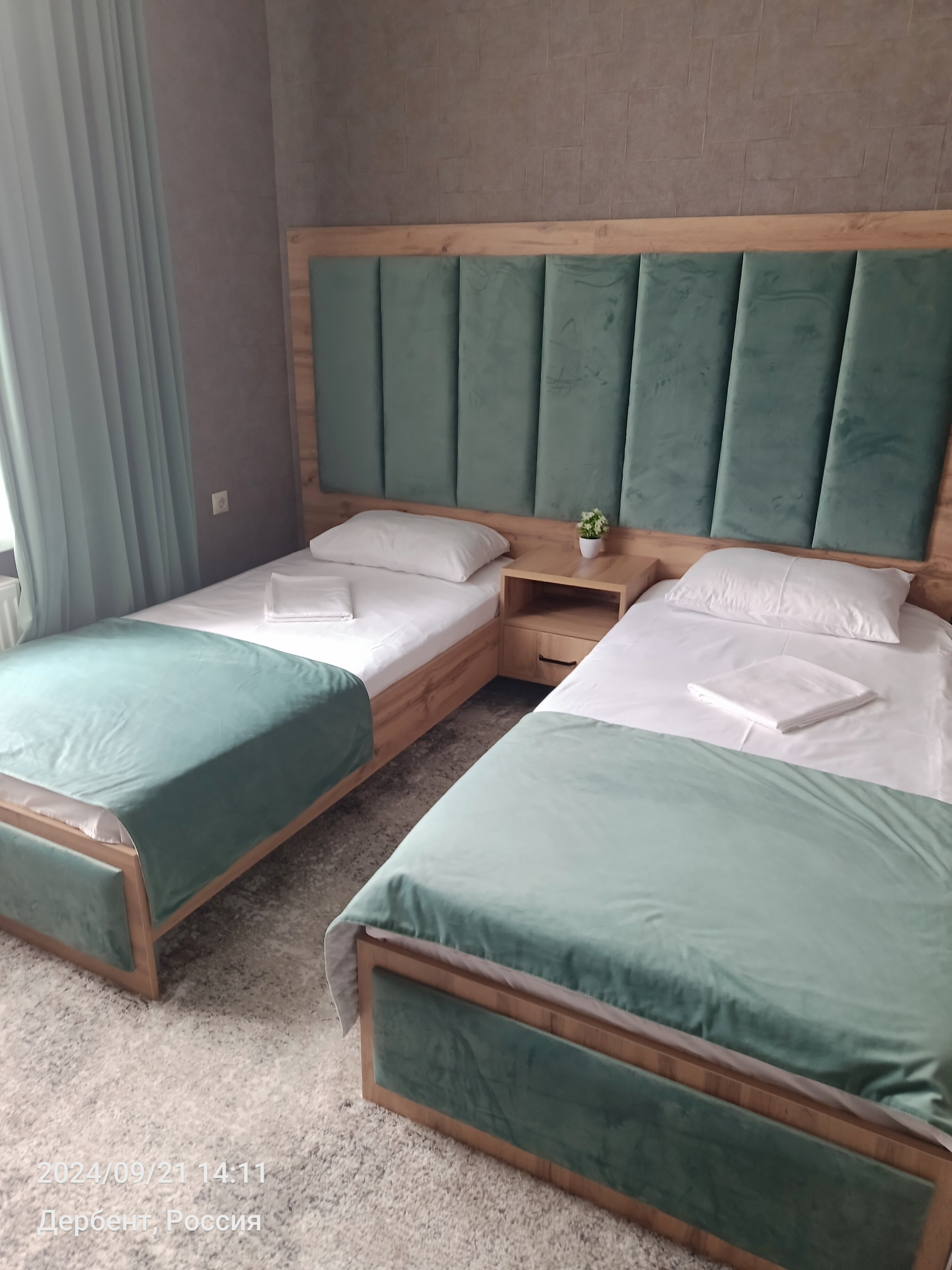 Фото Платан