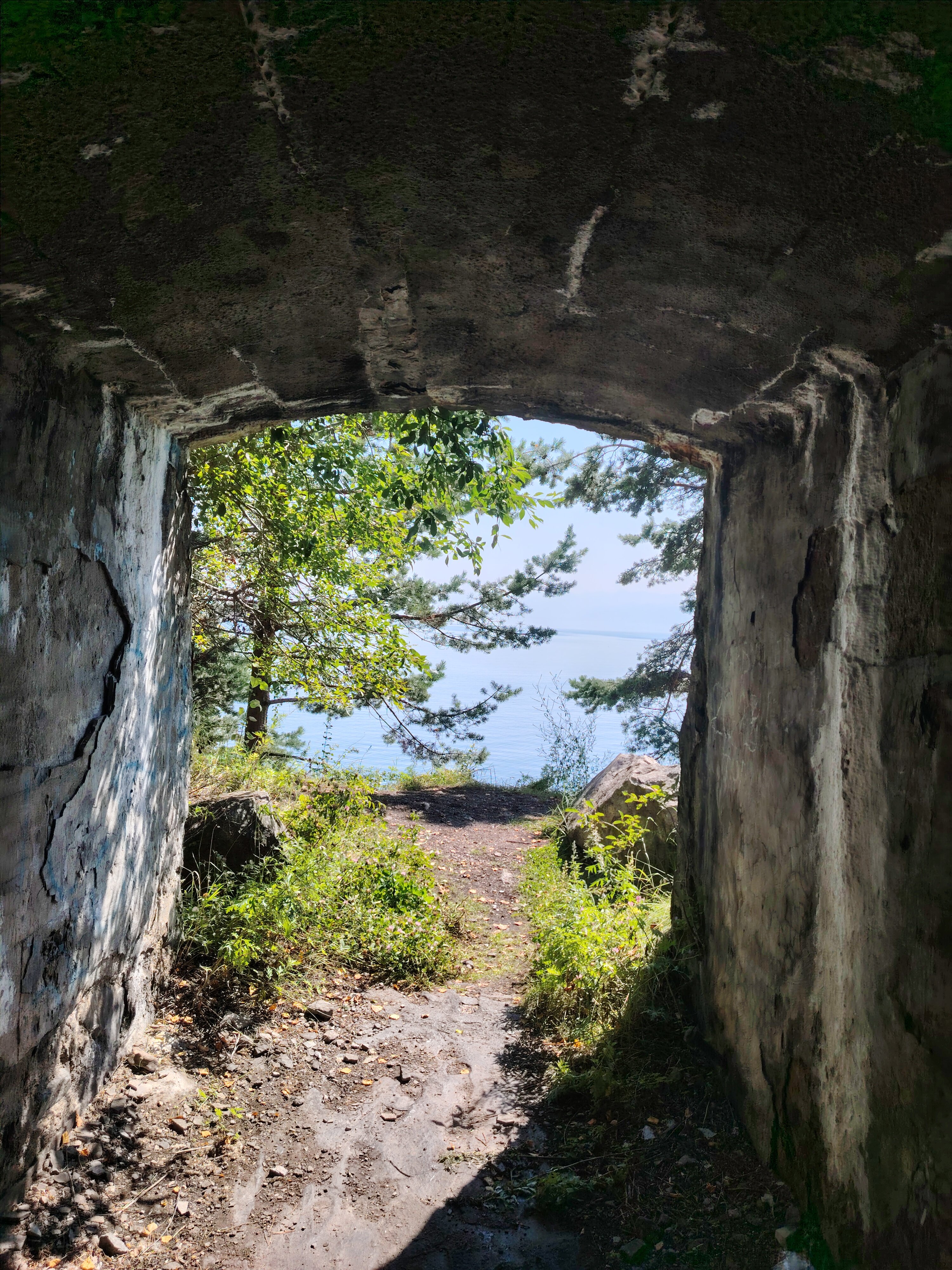 Фото Сказка