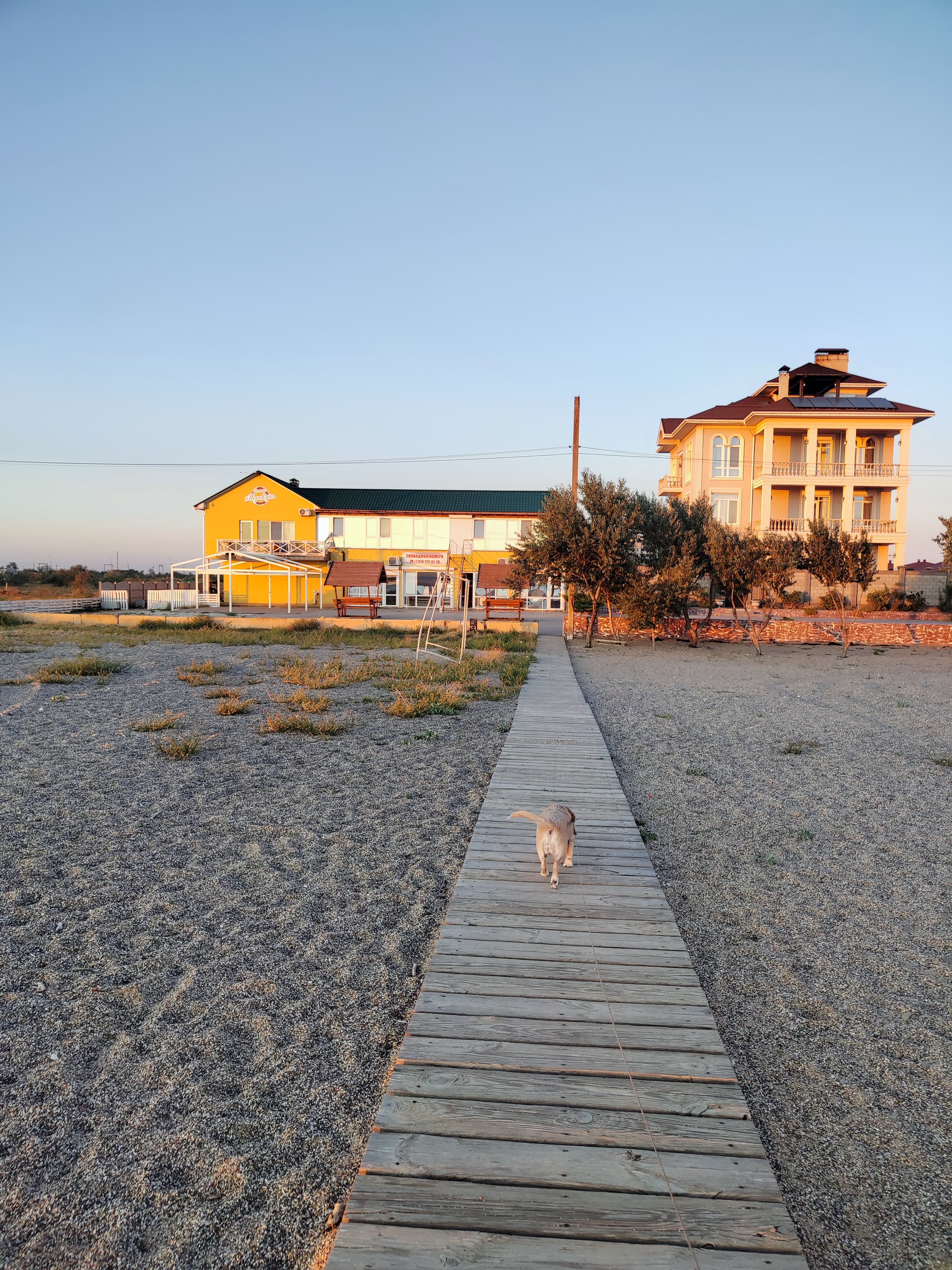 Фото Маракуйя