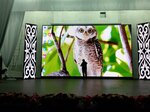 Led Screen Rental (Prokofev kóshesi, 144) ، منظمو المؤتمرات والندوات