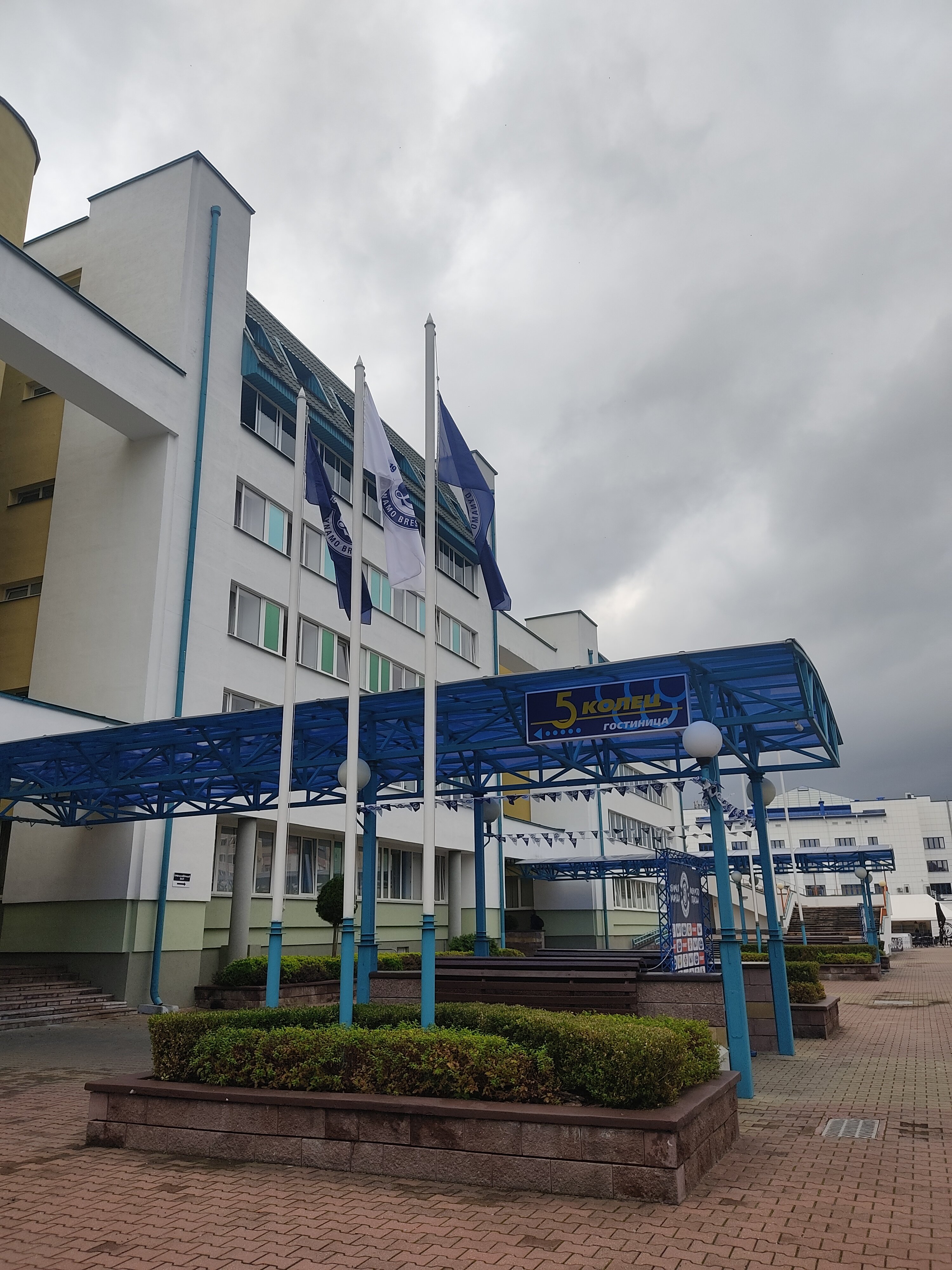 Фото Пять колец