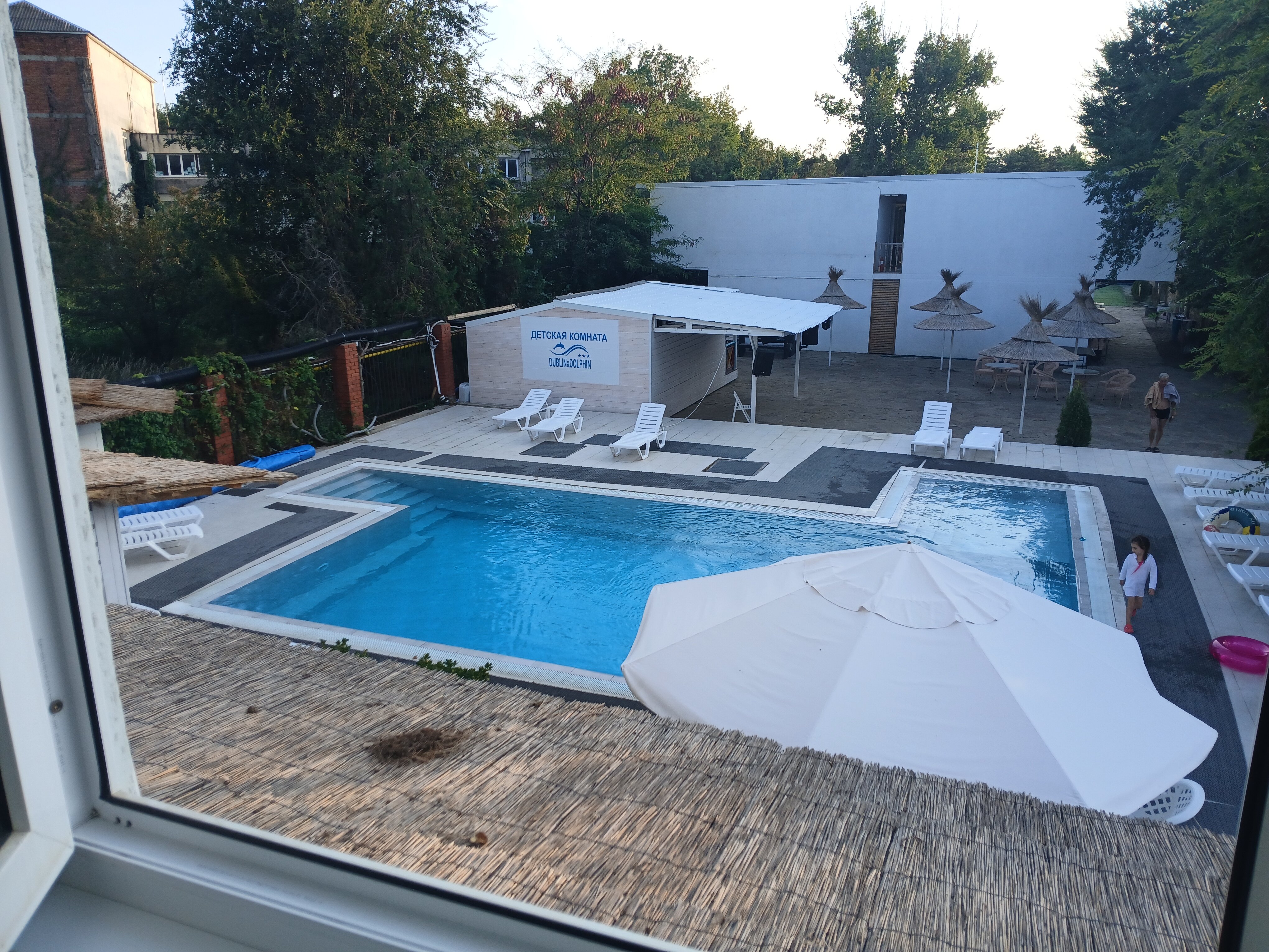 Фото Дублин Дельфин