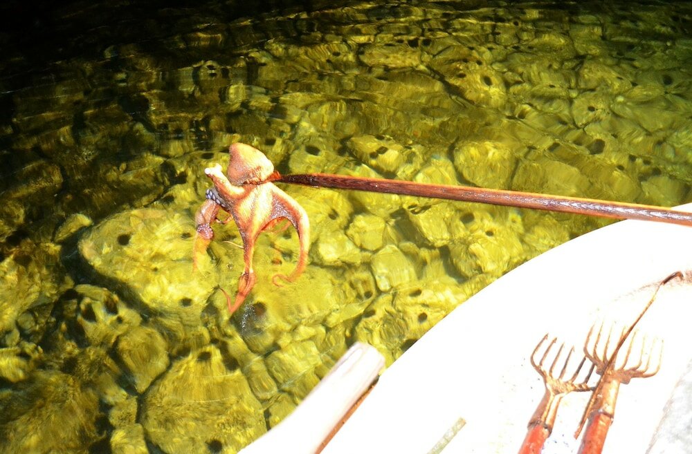 Фото Отель Pharos Rooms