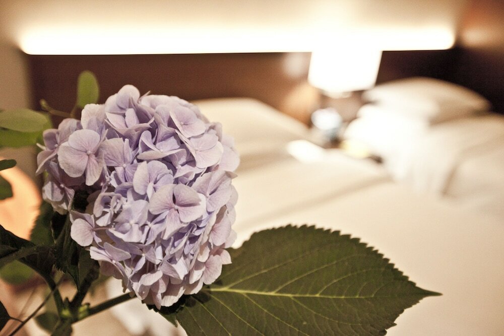 Фото Four Points by Sheraton Josun Seoul Station