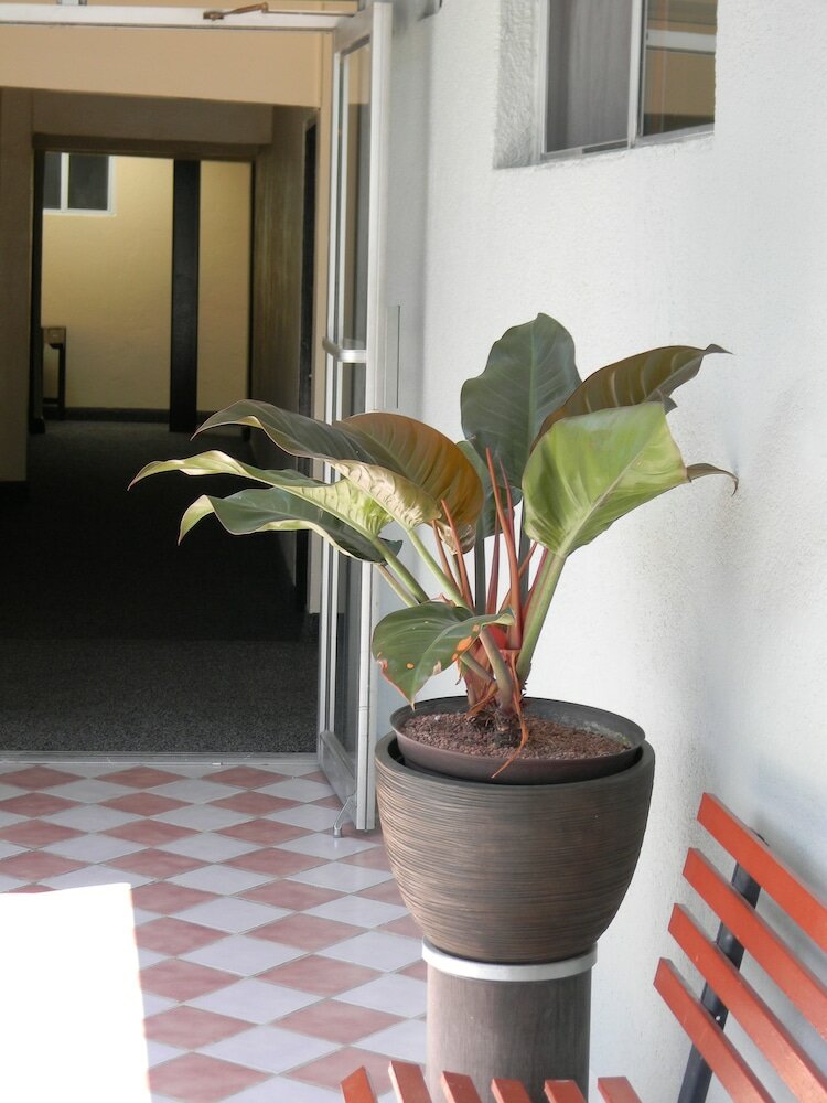 Фото Hotel Plaza Hermosa